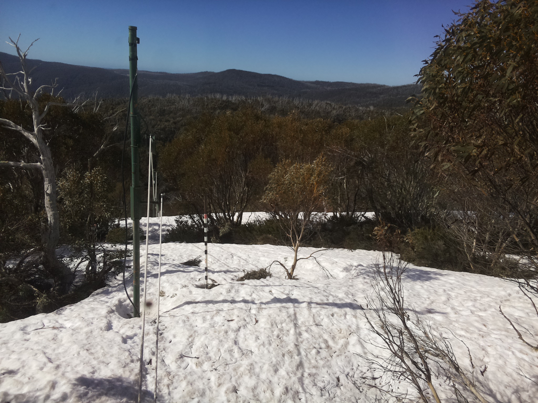 Bogong Web Cam 10:00am Tuesday 7th of October 2025