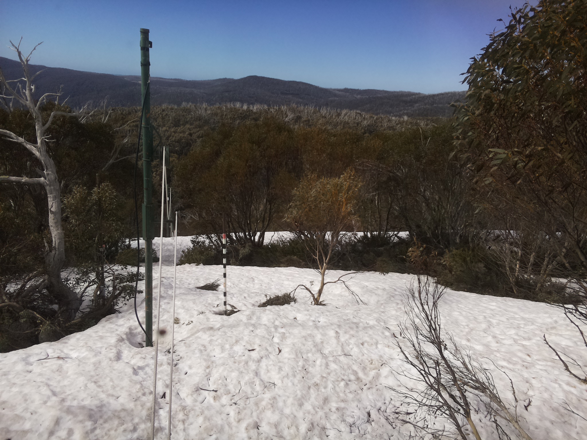 Bogong Web Cam 10:20am Tuesday 7th of October 2025