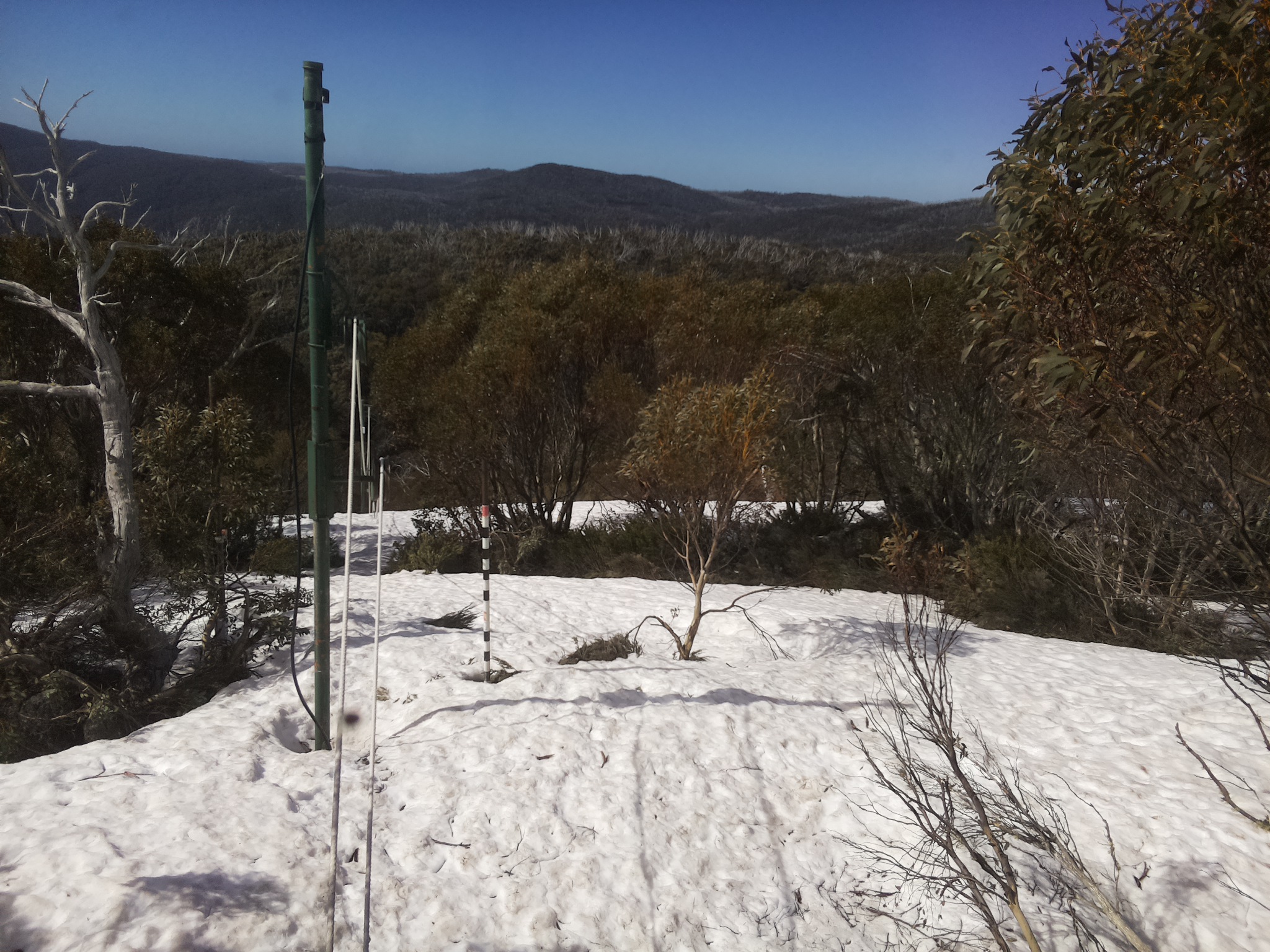 Bogong Web Cam 10:30am Tuesday 7th of October 2025
