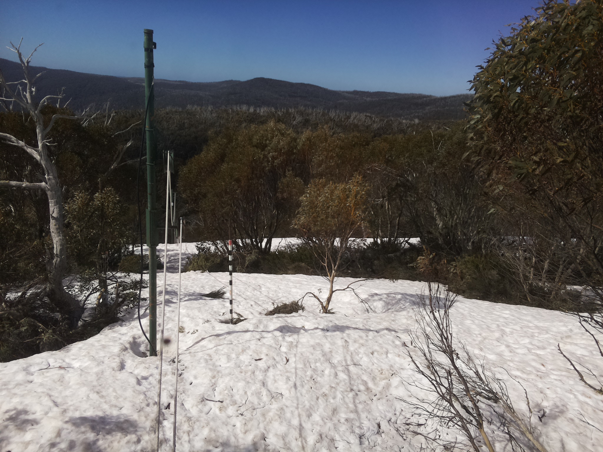 Bogong Web Cam 10:40am Tuesday 7th of October 2025