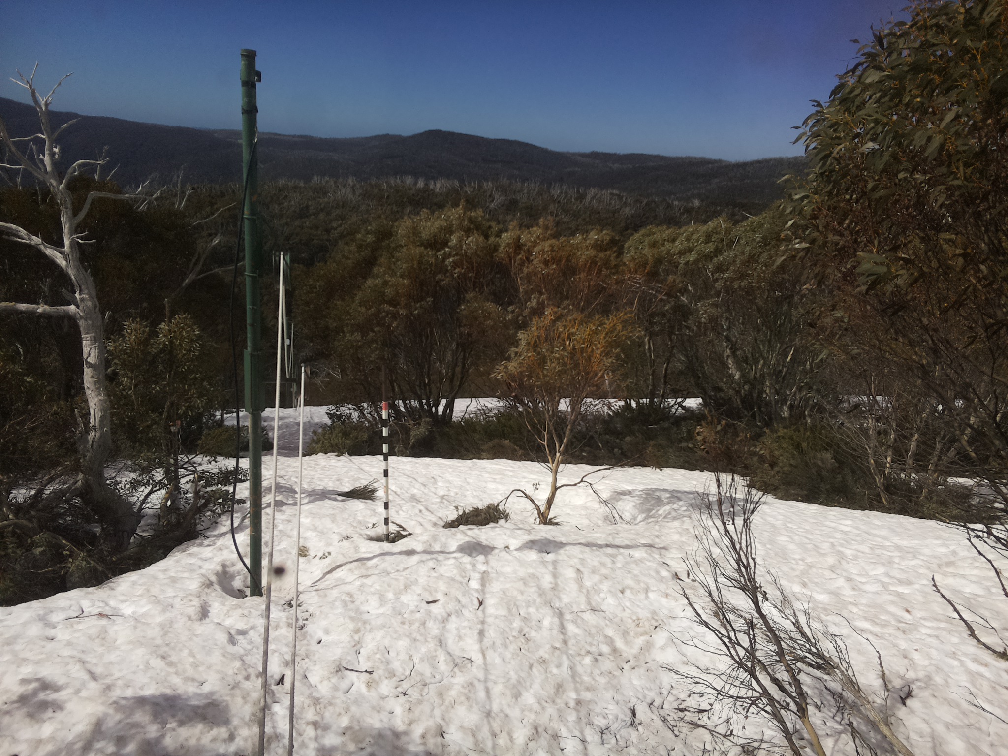 Bogong Web Cam 10:50am Tuesday 7th of October 2025