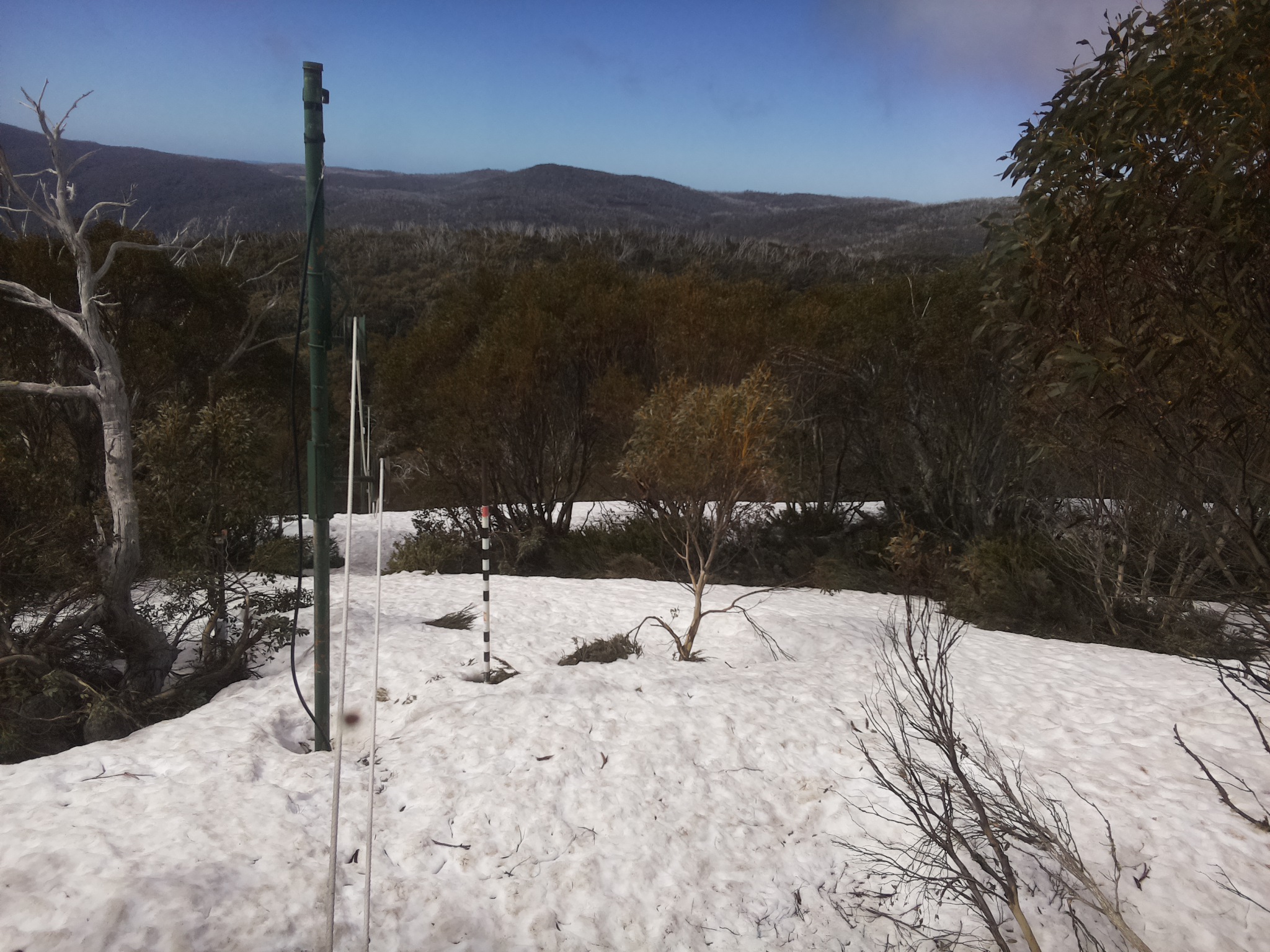 Bogong Web Cam 11:00am Tuesday 7th of October 2025