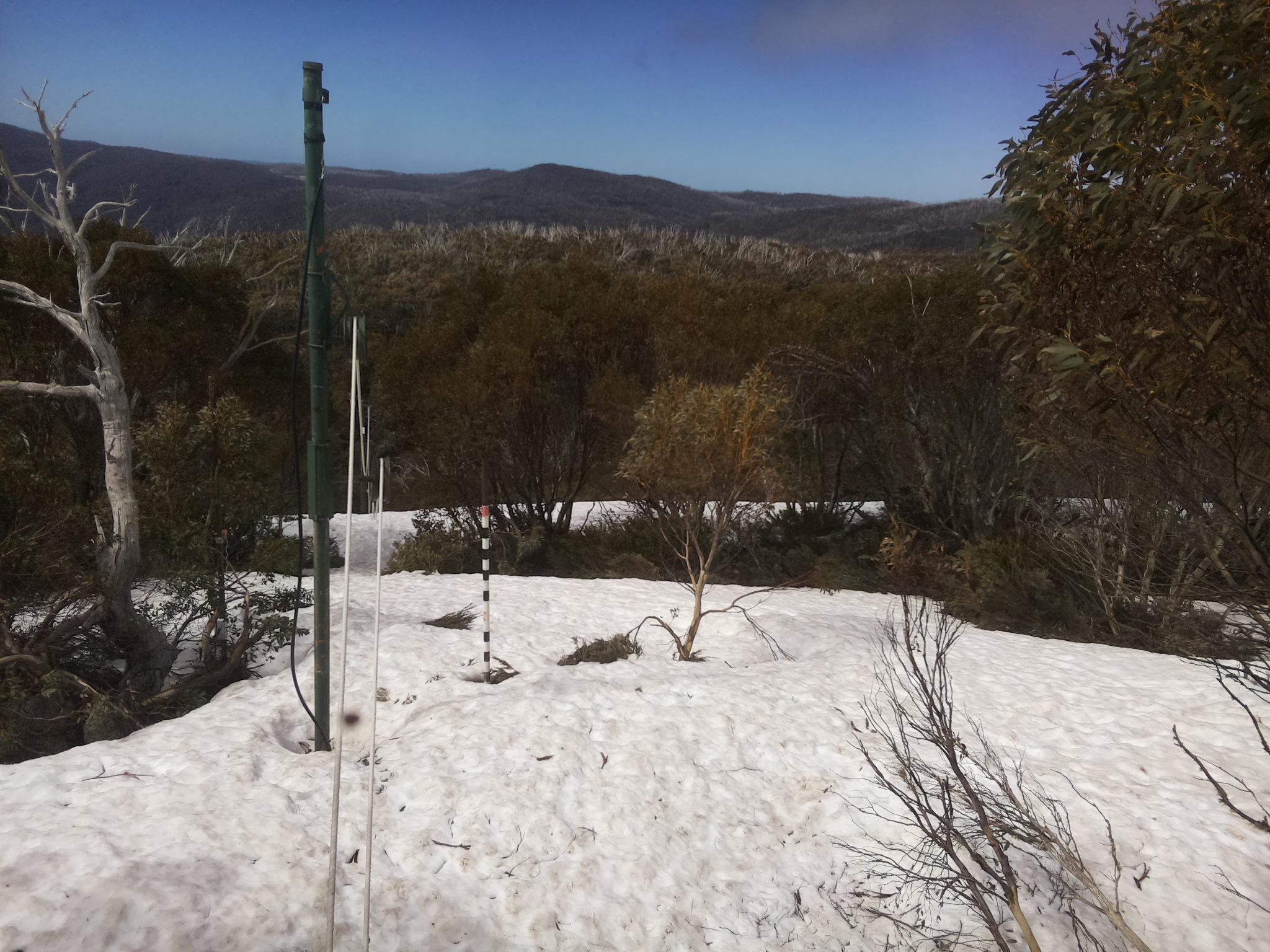 Bogong Web Cam 11:10am Tuesday 7th of October 2025