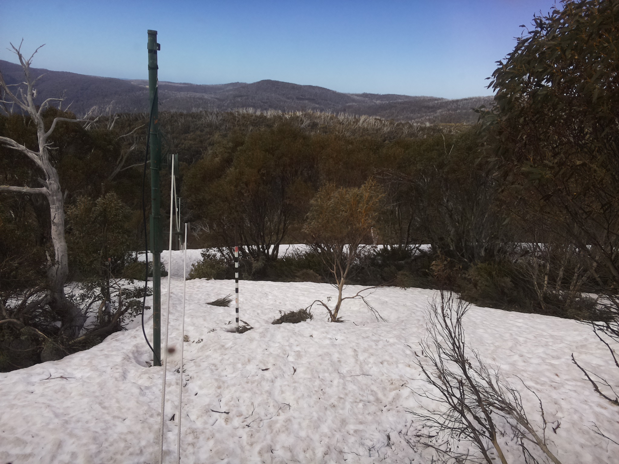Bogong Web Cam 11:20am Tuesday 7th of October 2025