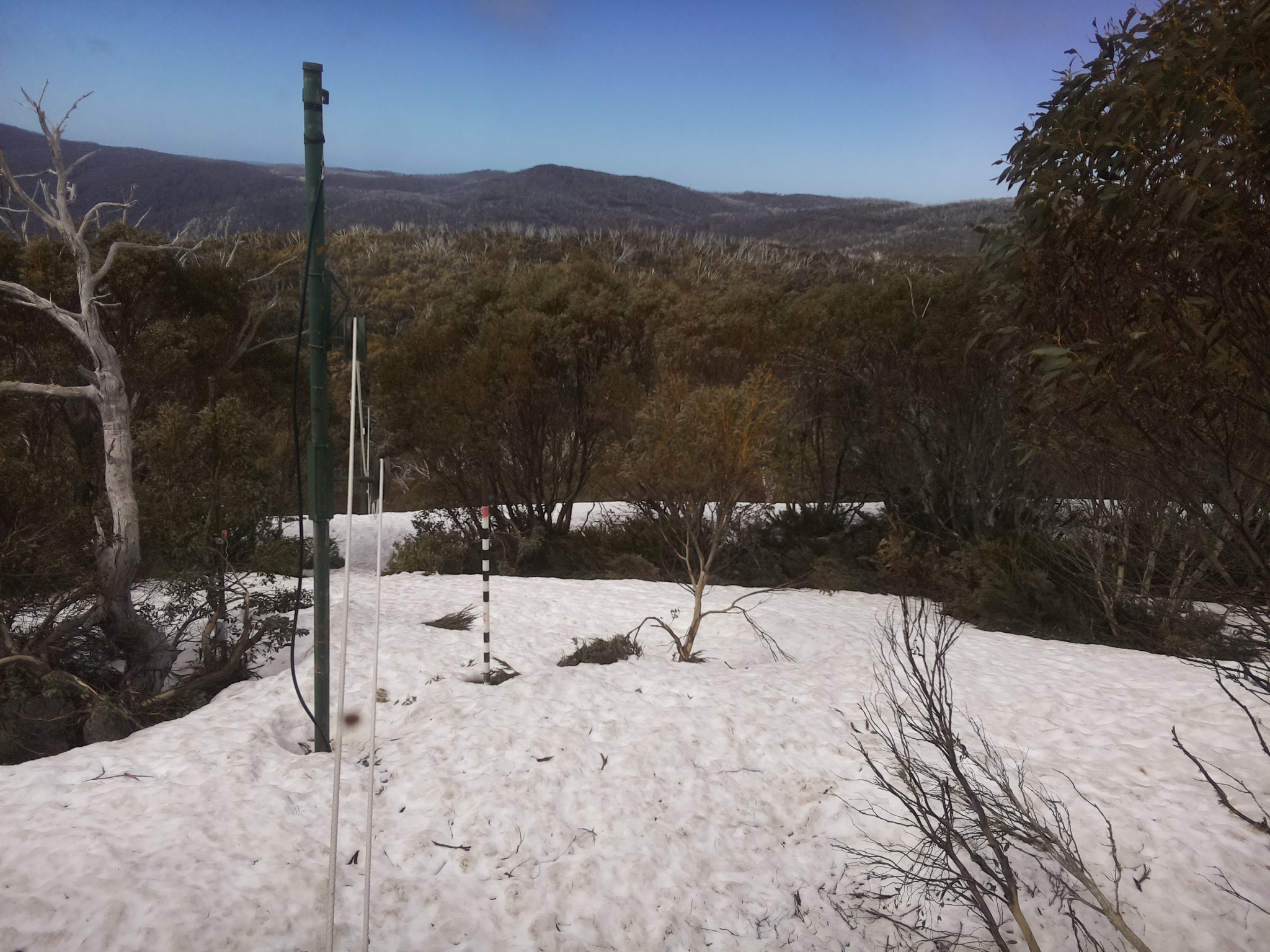 Bogong Web Cam 11:30am Tuesday 7th of October 2025
