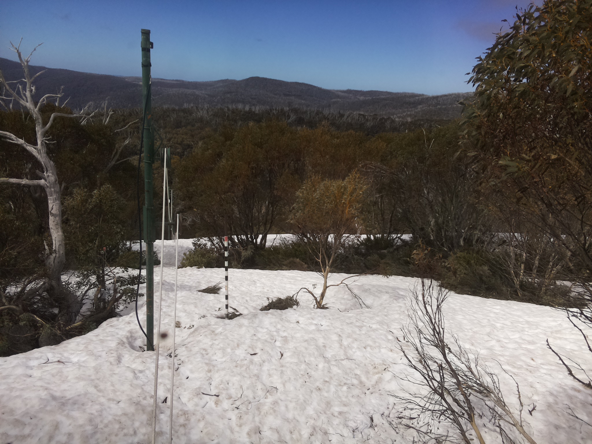 Bogong Web Cam 11:40am Tuesday 7th of October 2025