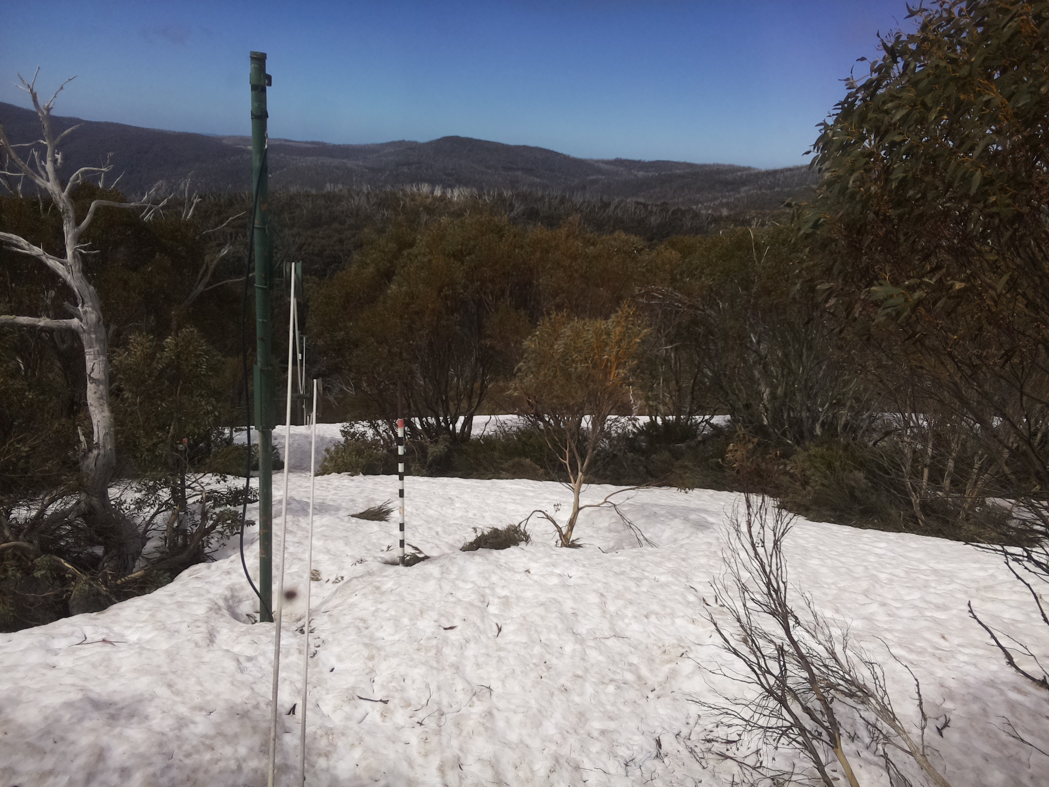 Bogong Web Cam 11:50am Tuesday 7th of October 2025