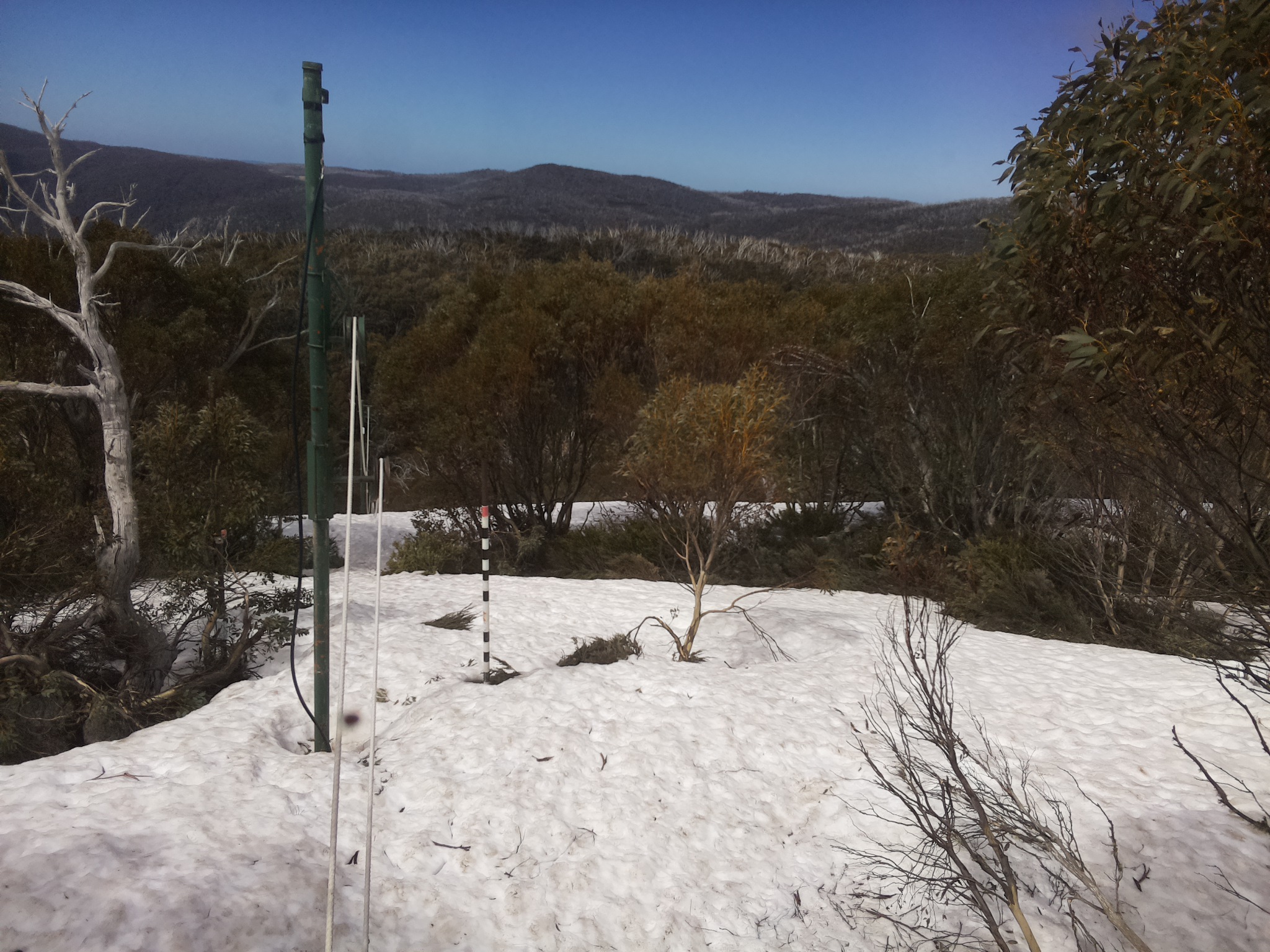 Bogong Web Cam 12:00pm Tuesday 7th of October 2025