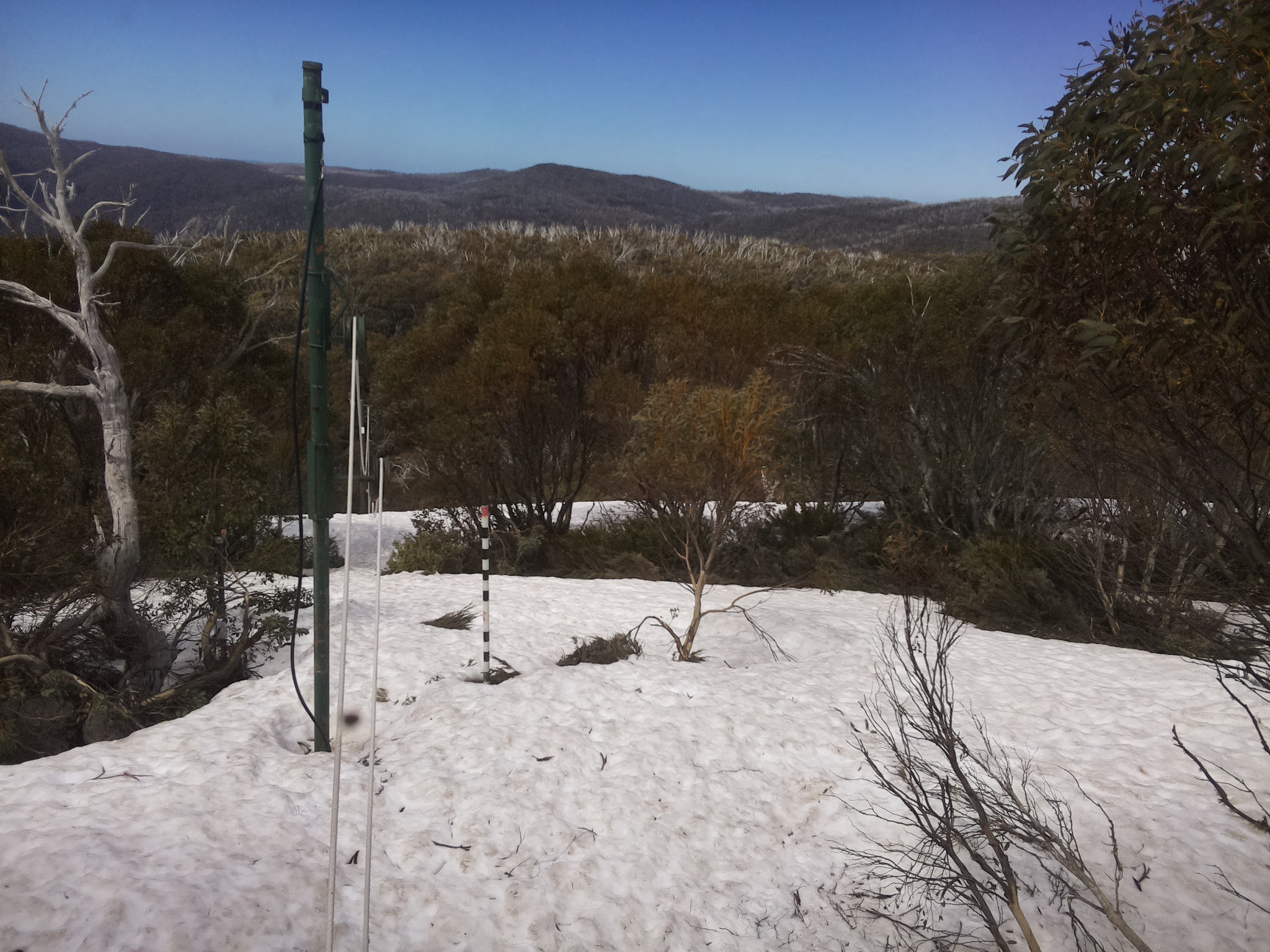 Bogong Web Cam 12:10pm Tuesday 7th of October 2025