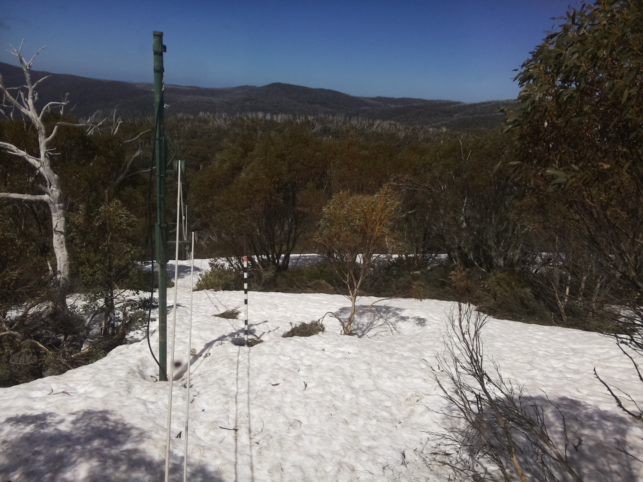 Bogong Web Cam 12:50pm Tuesday 7th of October 2025