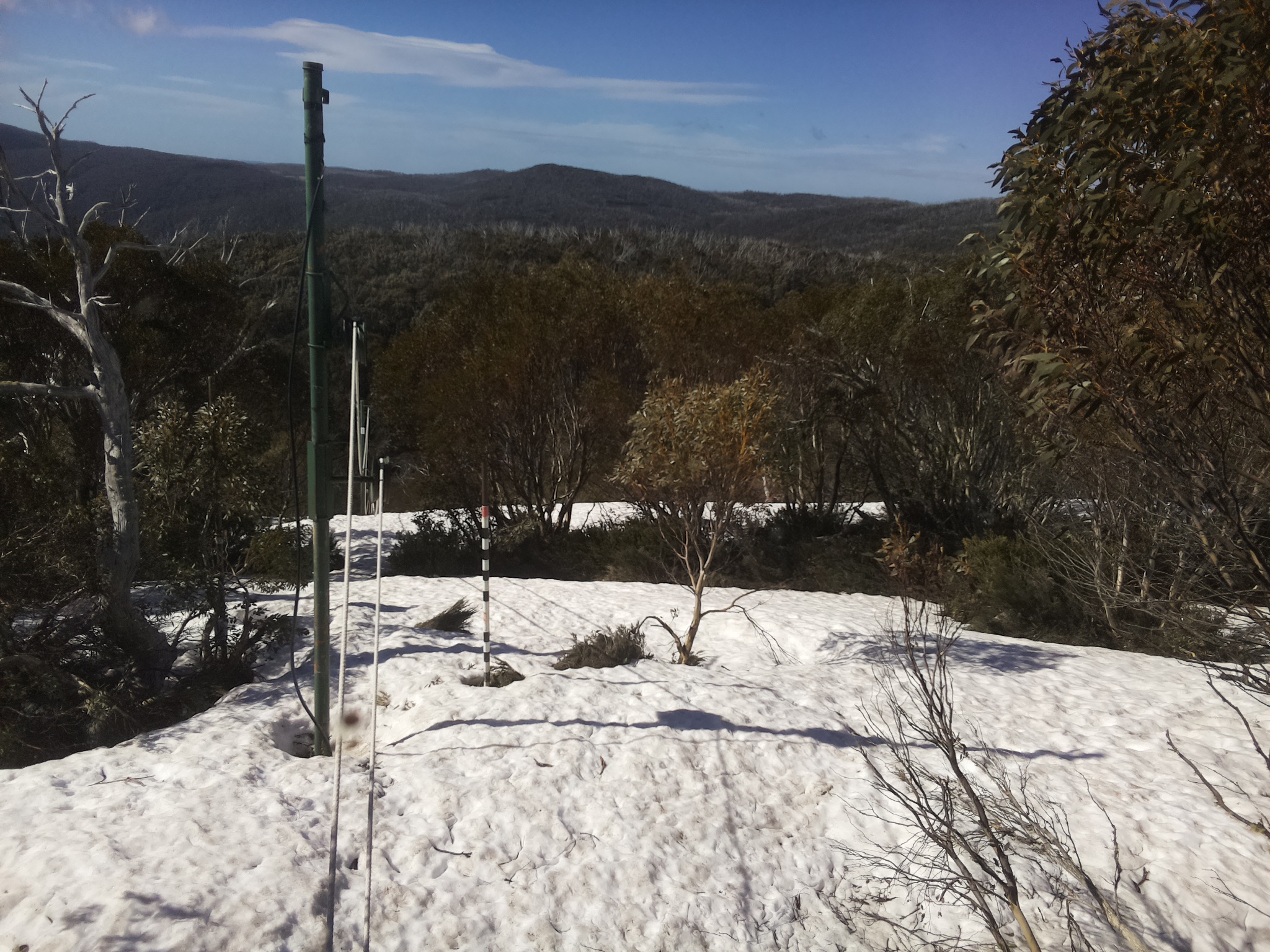 Bogong Web Cam 9:50am Wednesday 8th of October 2025