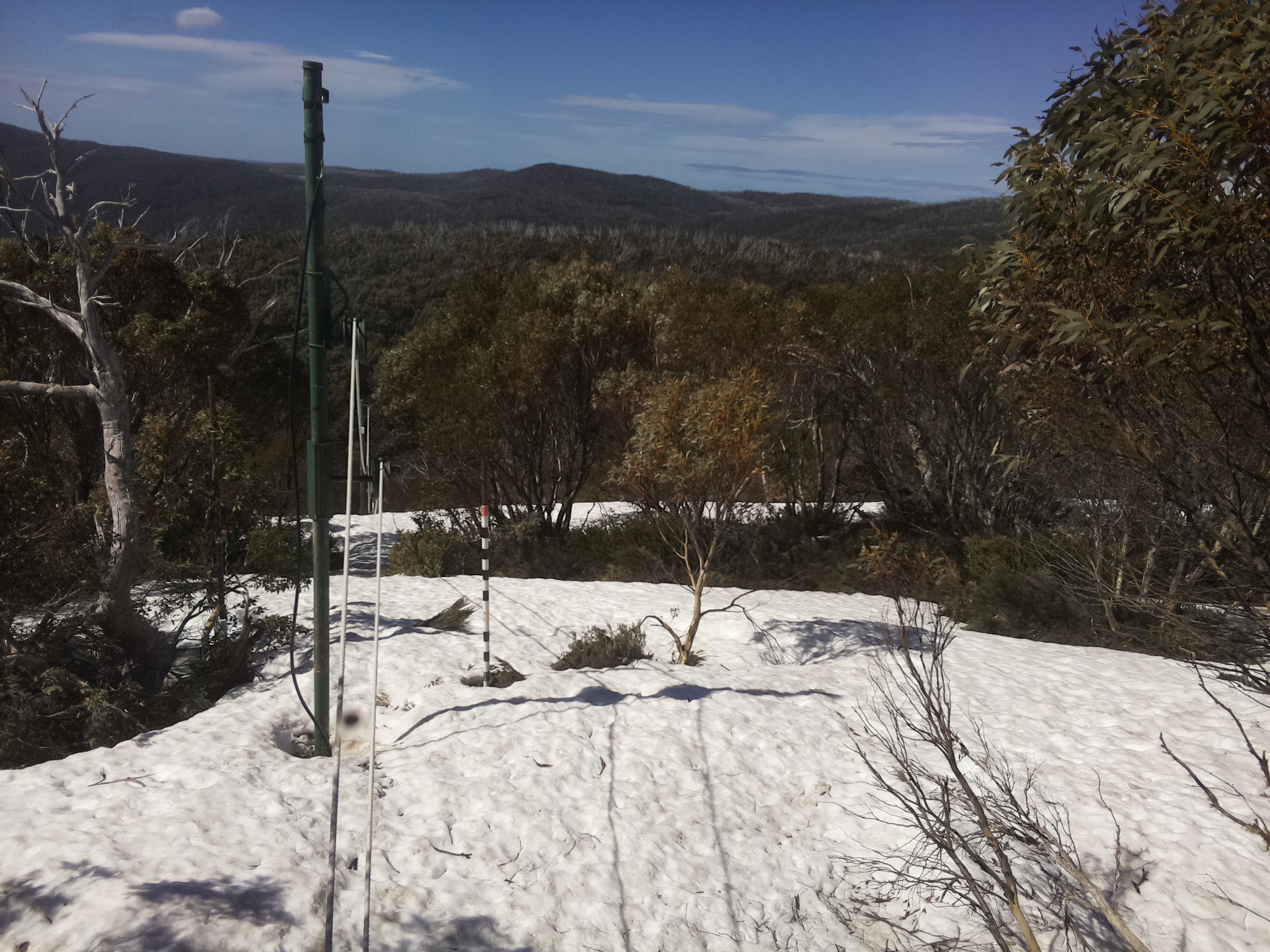 Bogong Web Cam 10:50am Wednesday 8th of October 2025