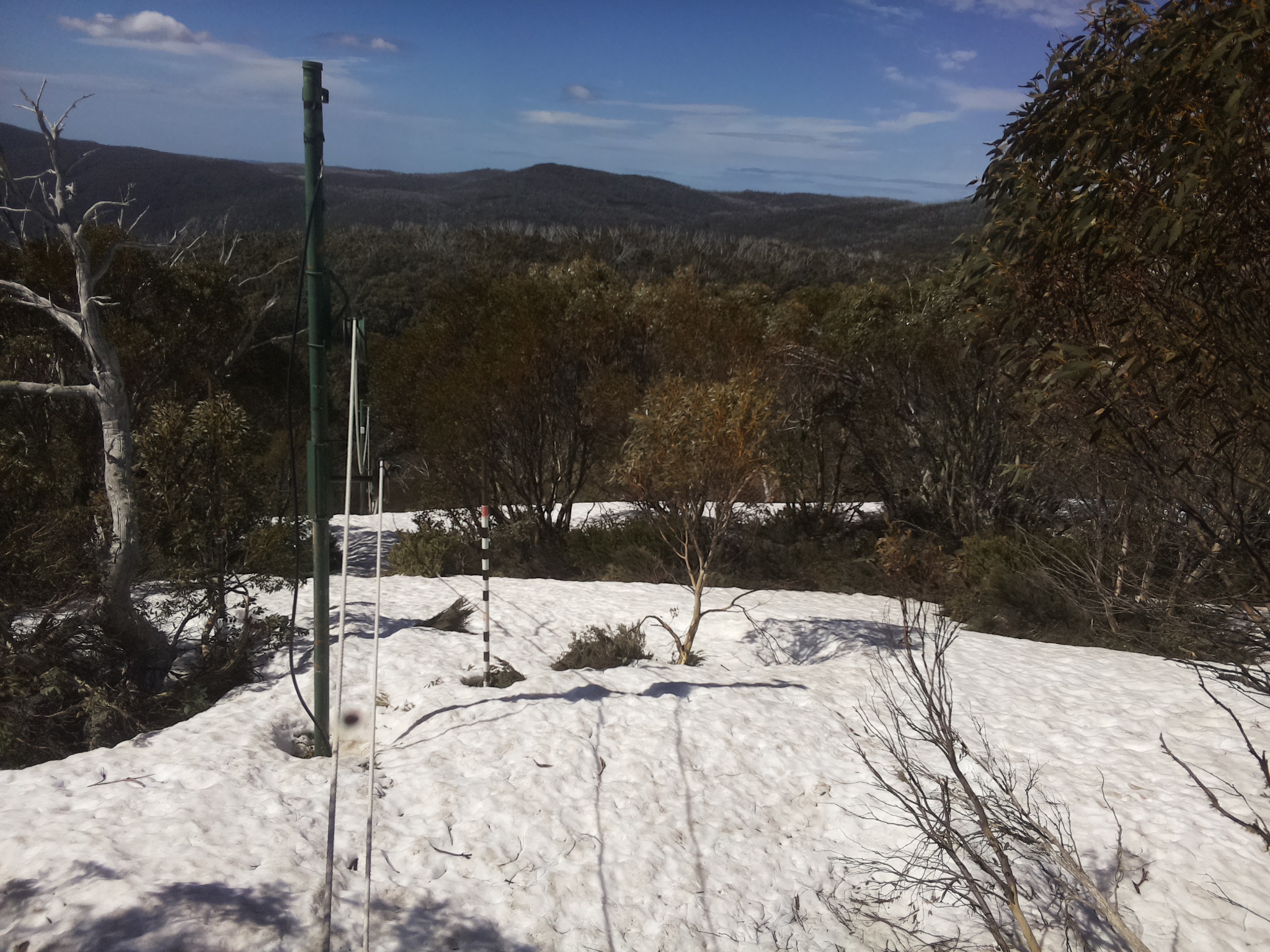 Bogong Web Cam 11:00am Wednesday 8th of October 2025