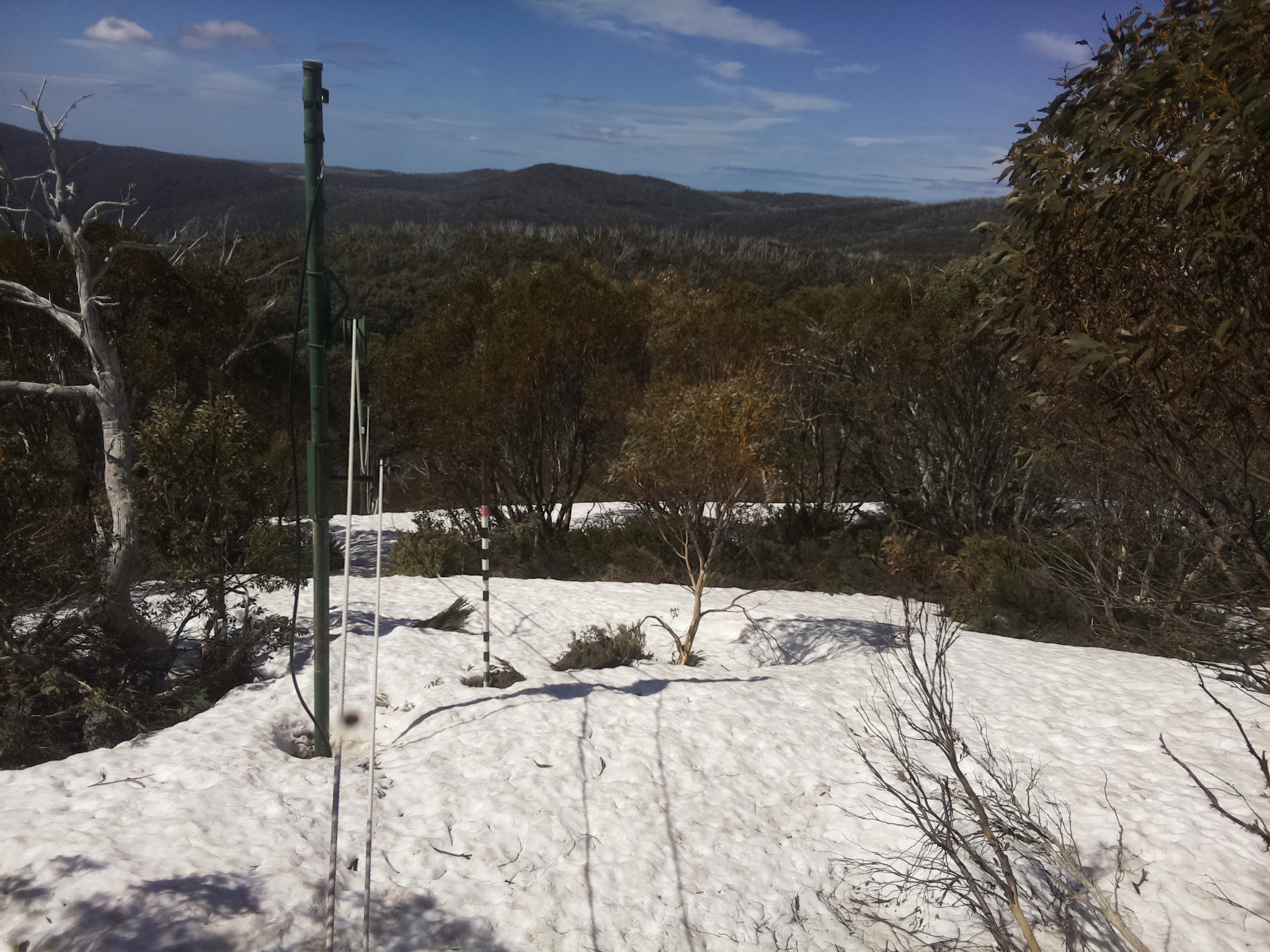 Bogong Web Cam 11:10am Wednesday 8th of October 2025