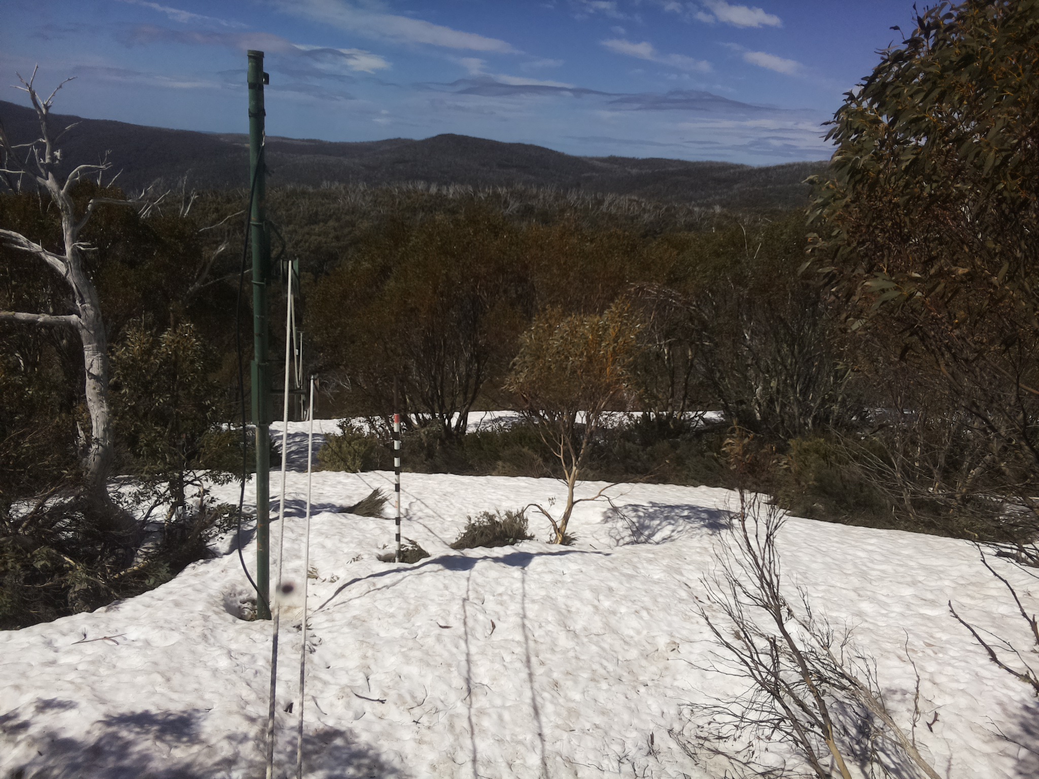 Bogong Web Cam 11:20am Wednesday 8th of October 2025