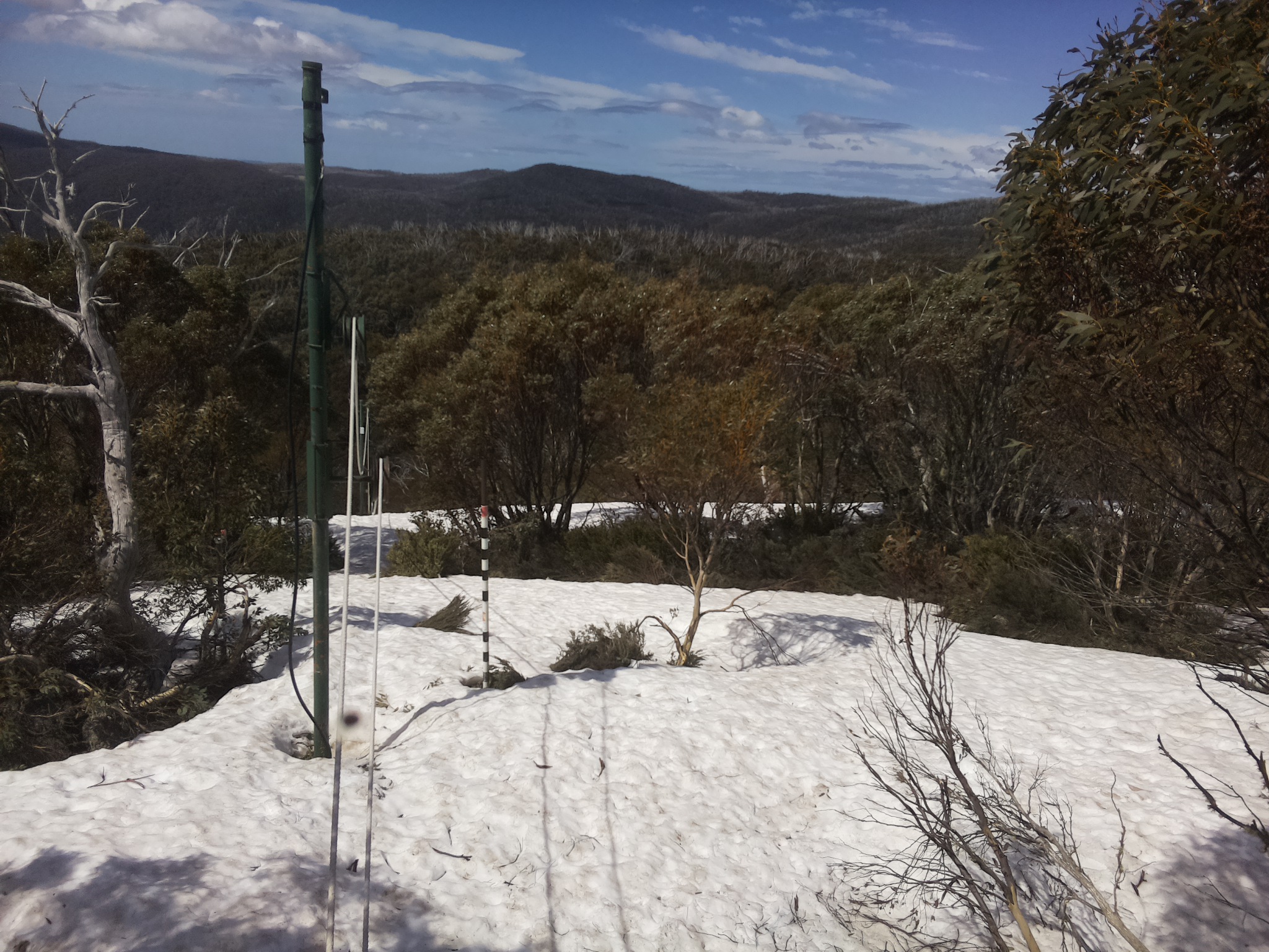 Bogong Web Cam 11:40am Wednesday 8th of October 2025