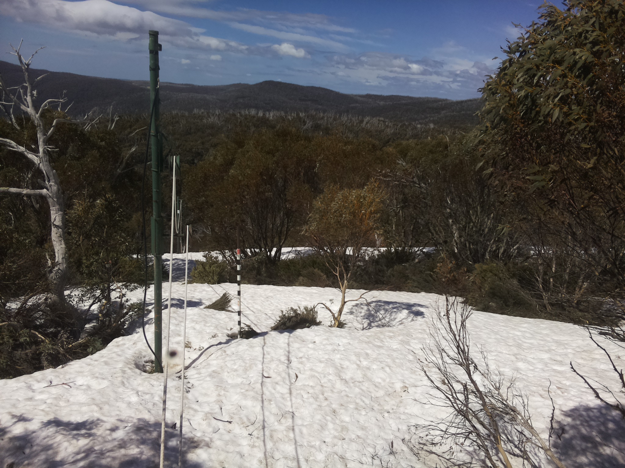 Bogong Web Cam 11:50am Wednesday 8th of October 2025