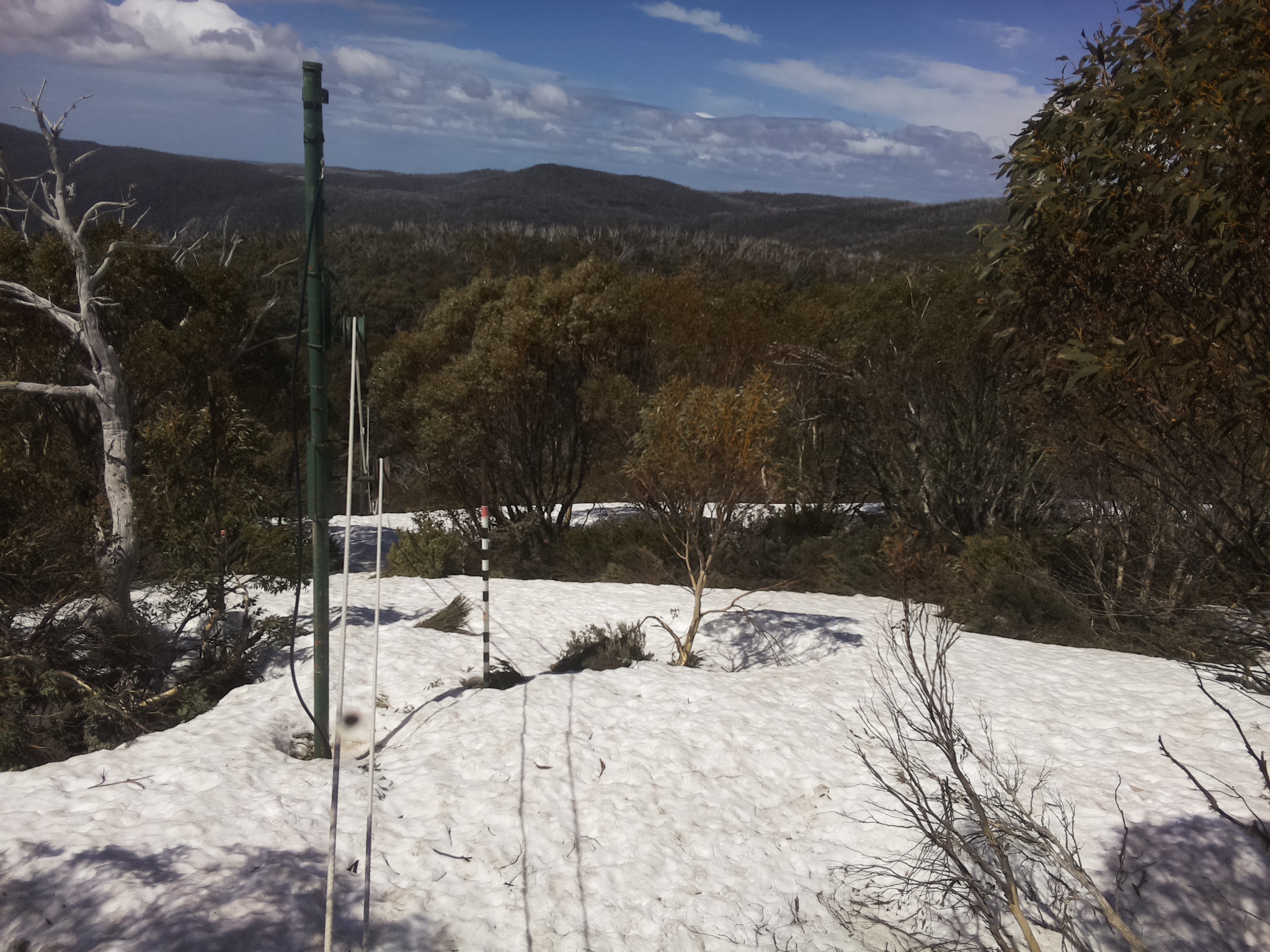 Bogong Web Cam 12:00pm Wednesday 8th of October 2025