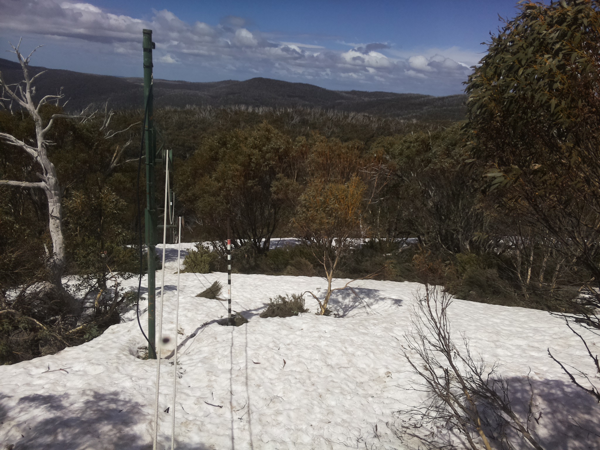 Bogong Web Cam 12:30pm Wednesday 8th of October 2025