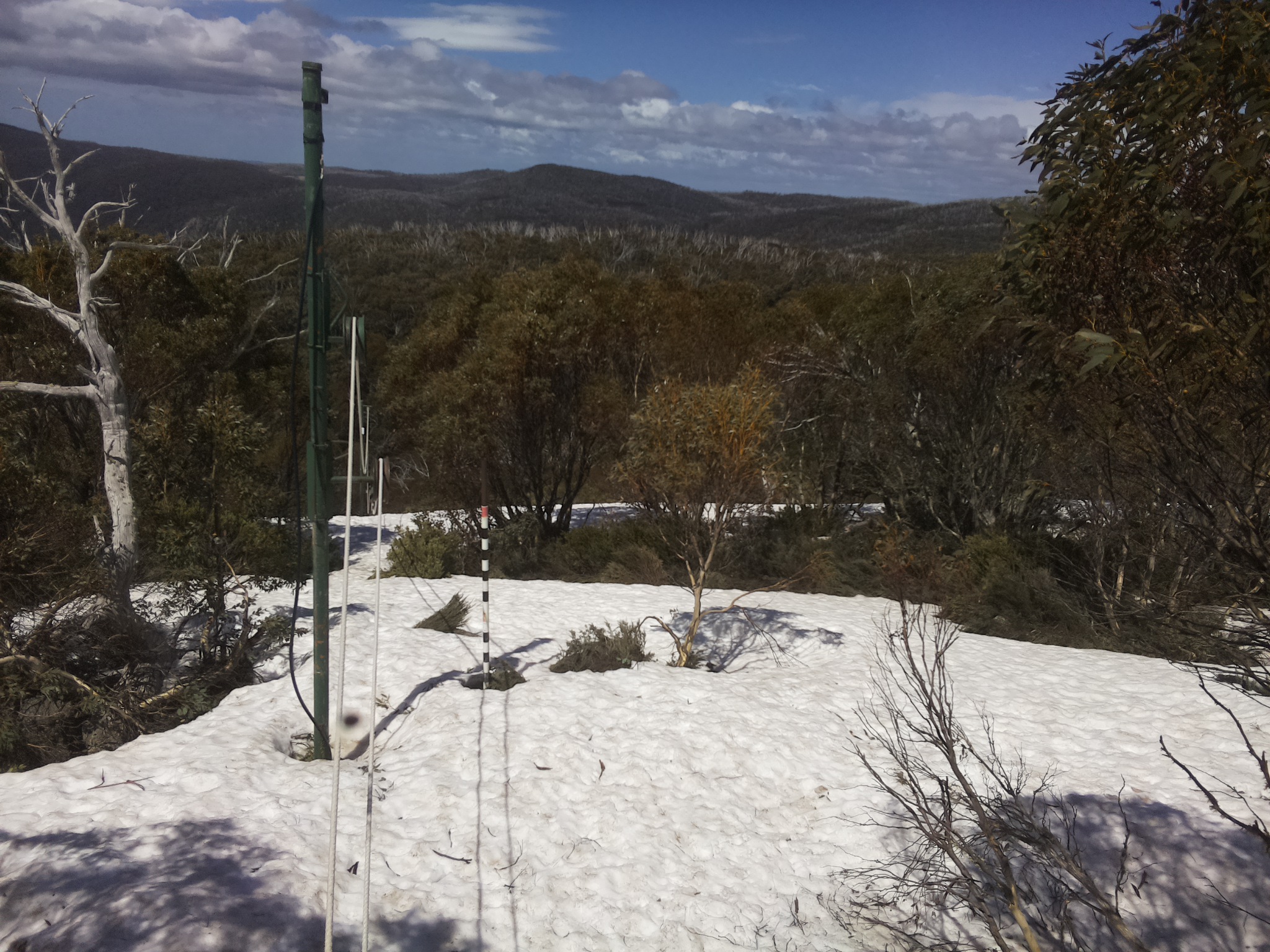 Bogong Web Cam 12:40pm Wednesday 8th of October 2025