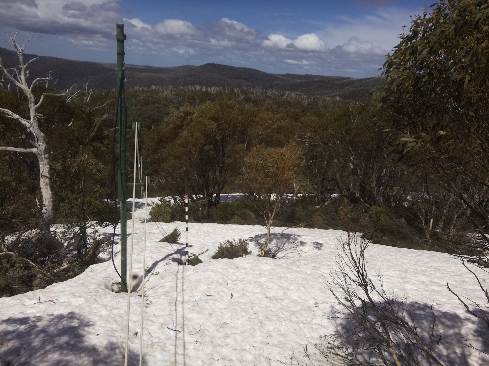 Bogong Web Cam 1:00pm Wednesday 8th of October 2025