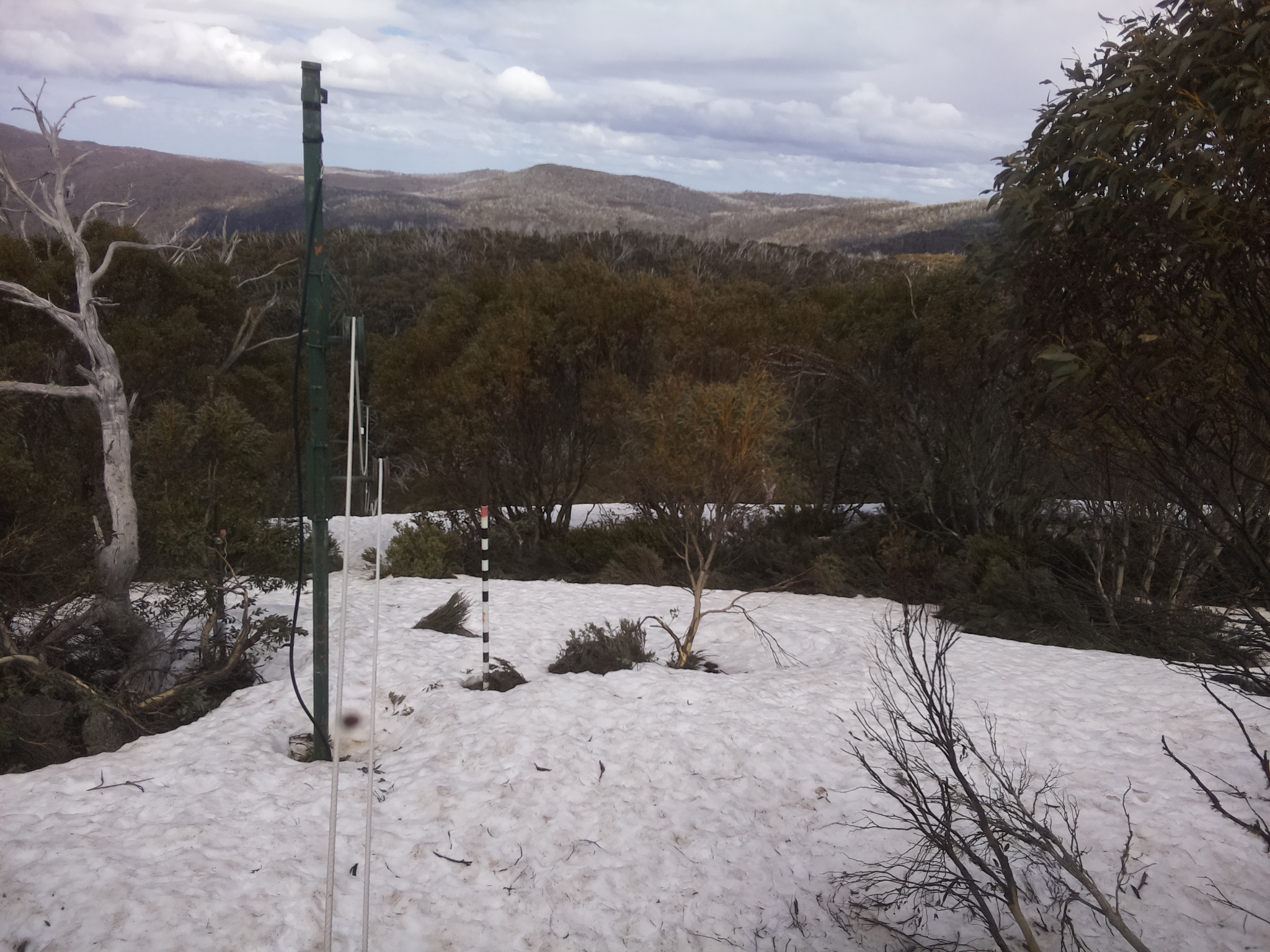 Bogong Web Cam 1:40pm Wednesday 8th of October 2025
