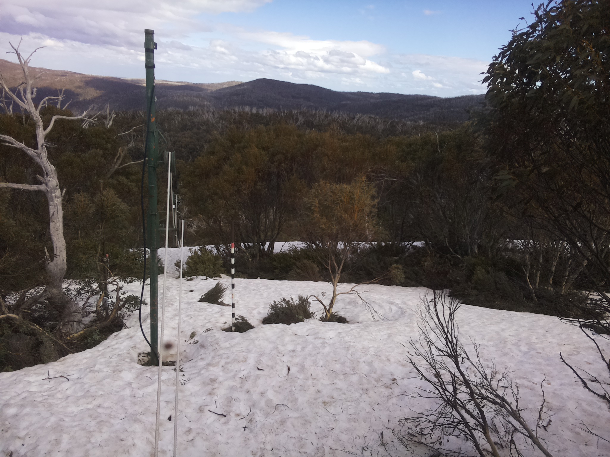 Bogong Web Cam 3:50pm Wednesday 8th of October 2025