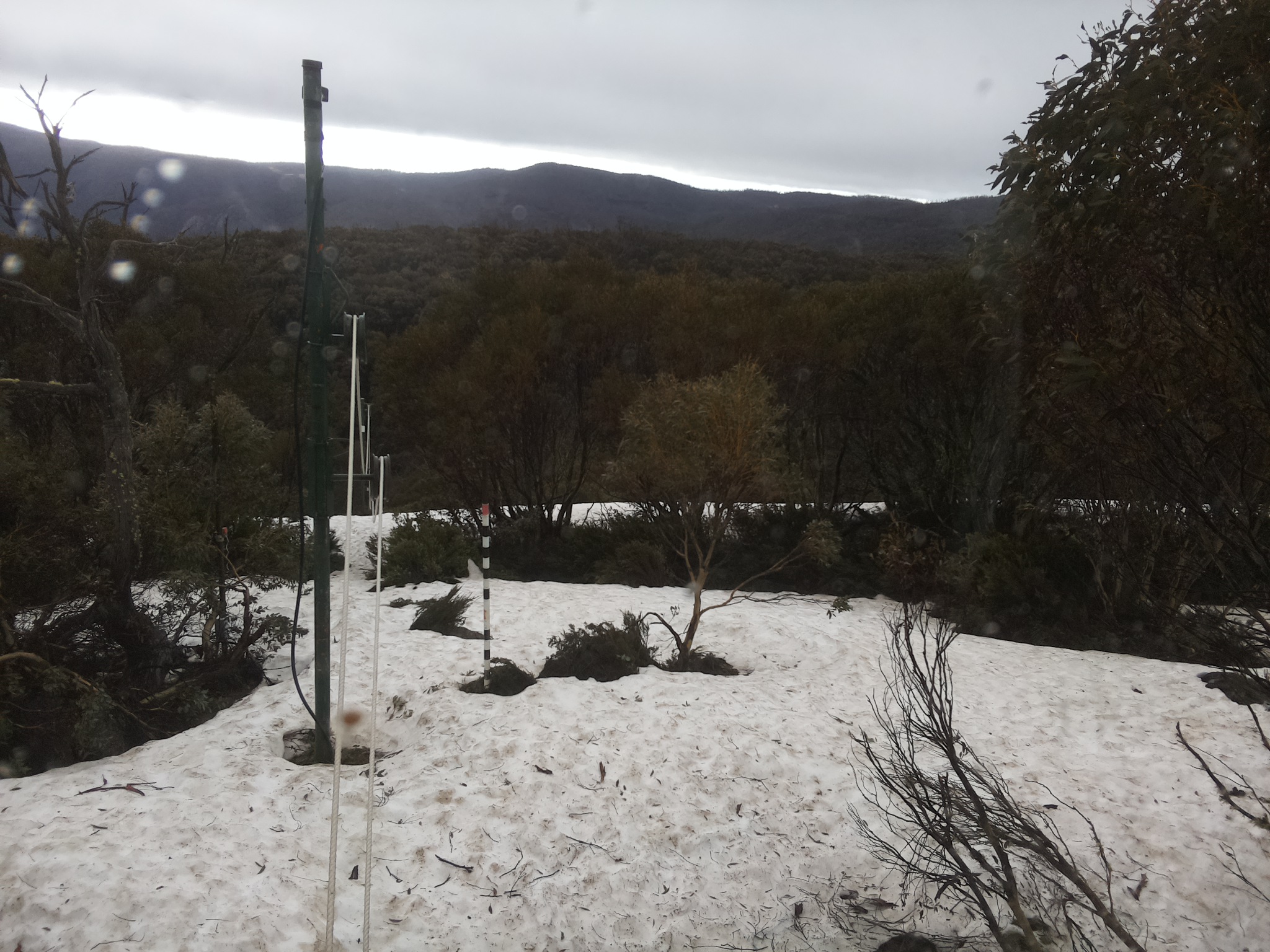 Bogong Web Cam 8:00am Thursday 9th of October 2025