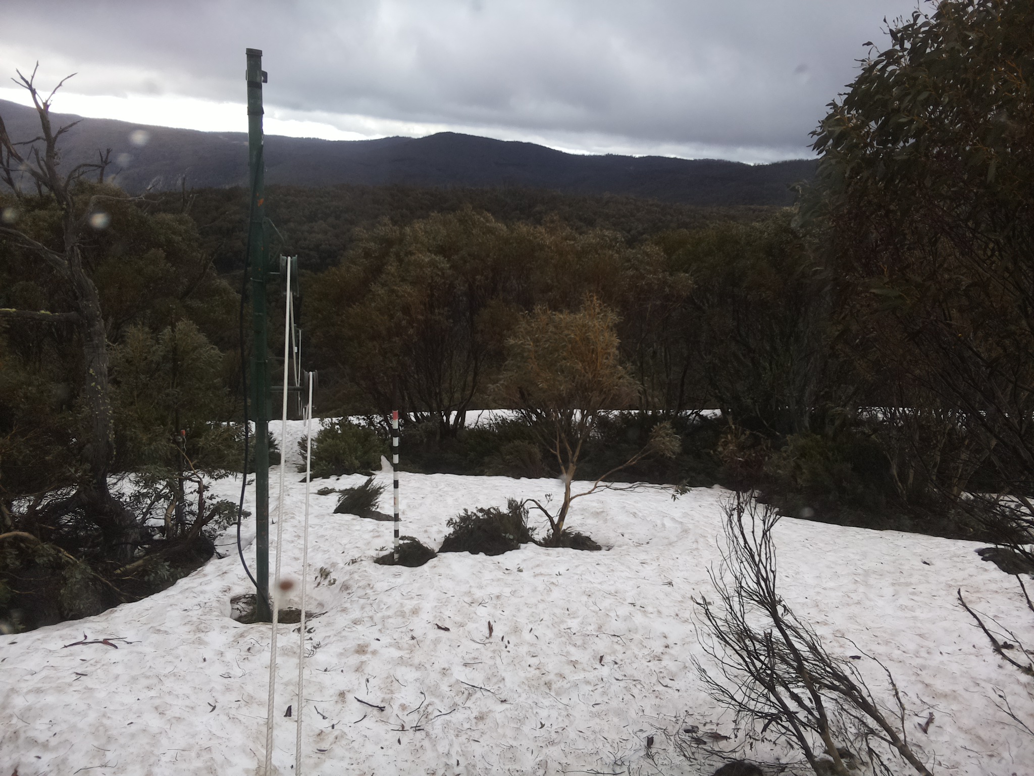 Bogong Web Cam 8:10am Thursday 9th of October 2025