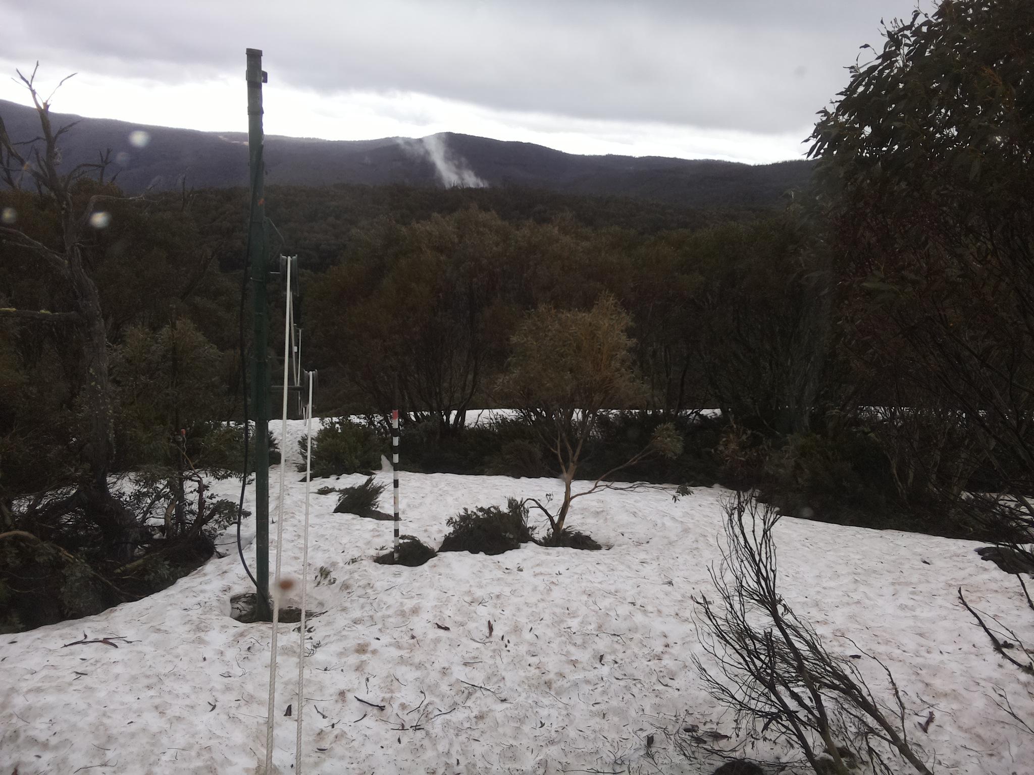 Bogong Web Cam 8:30am Thursday 9th of October 2025