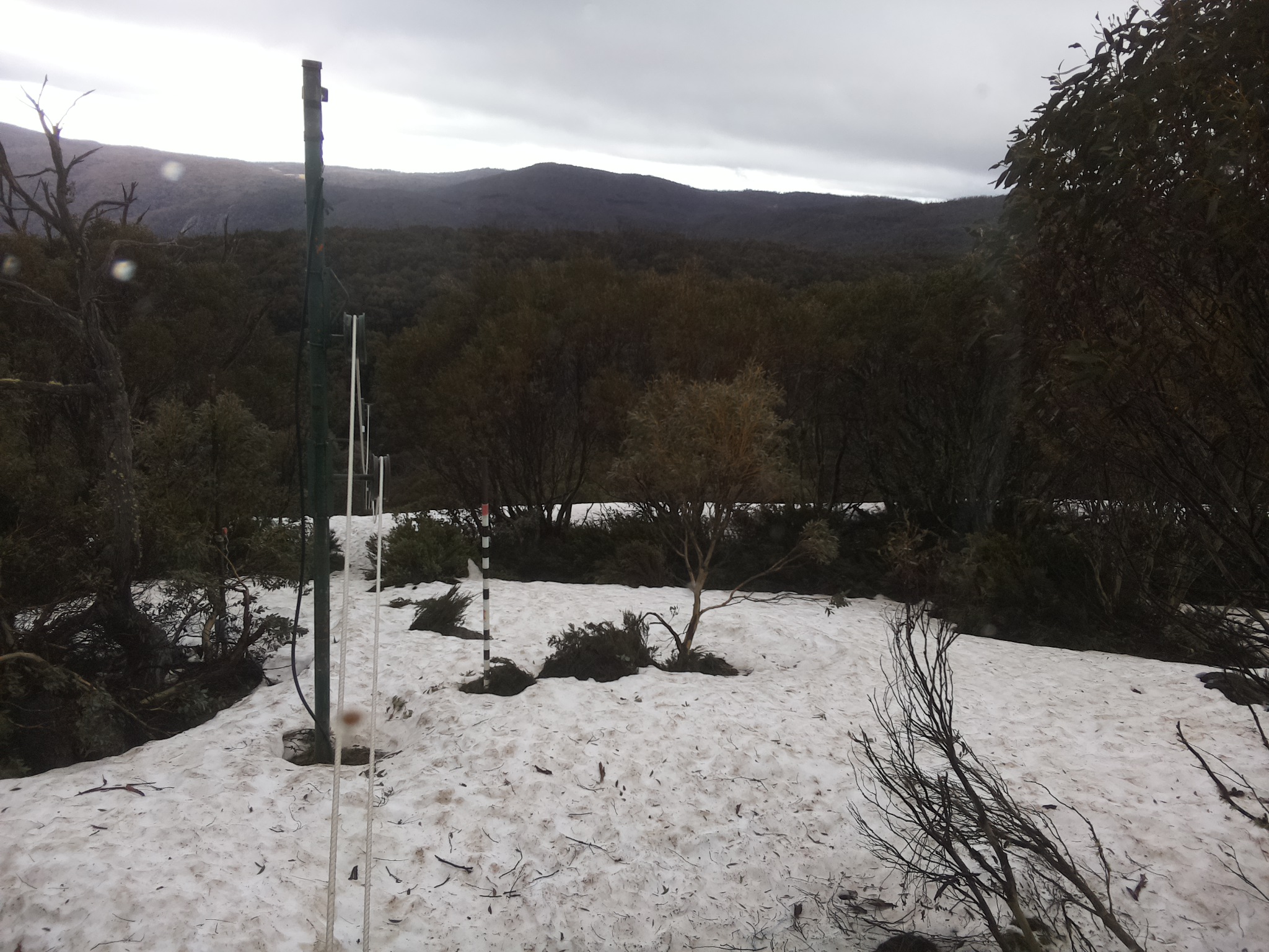 Bogong Web Cam 8:40am Thursday 9th of October 2025
