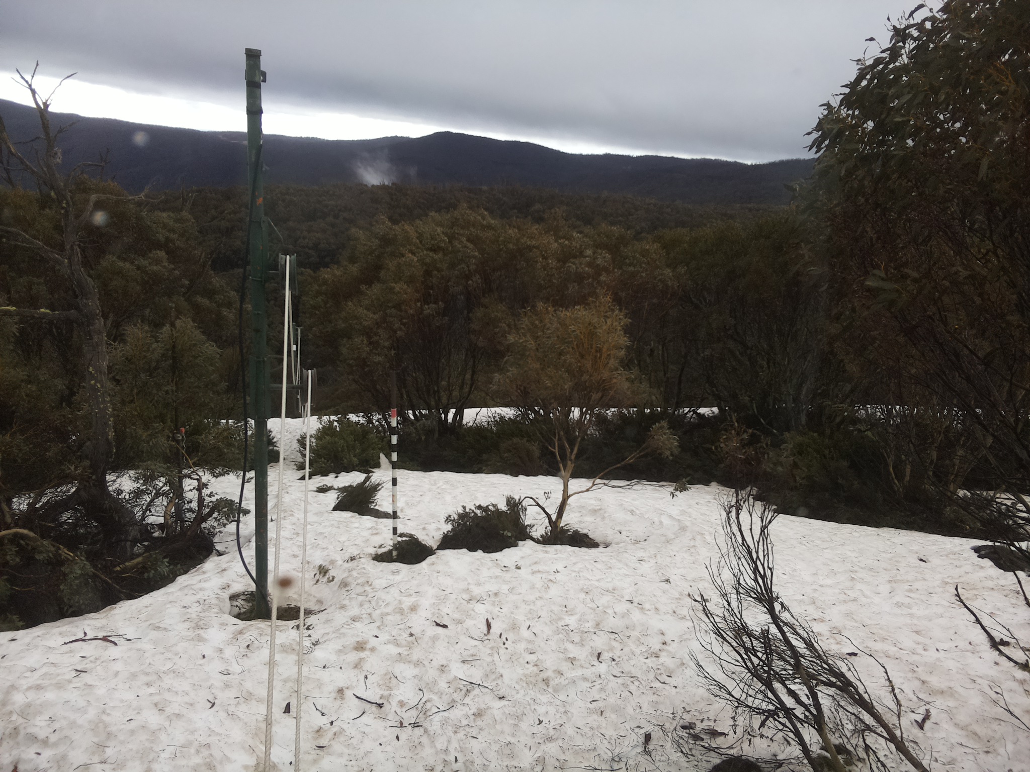 Bogong Web Cam 8:50am Thursday 9th of October 2025