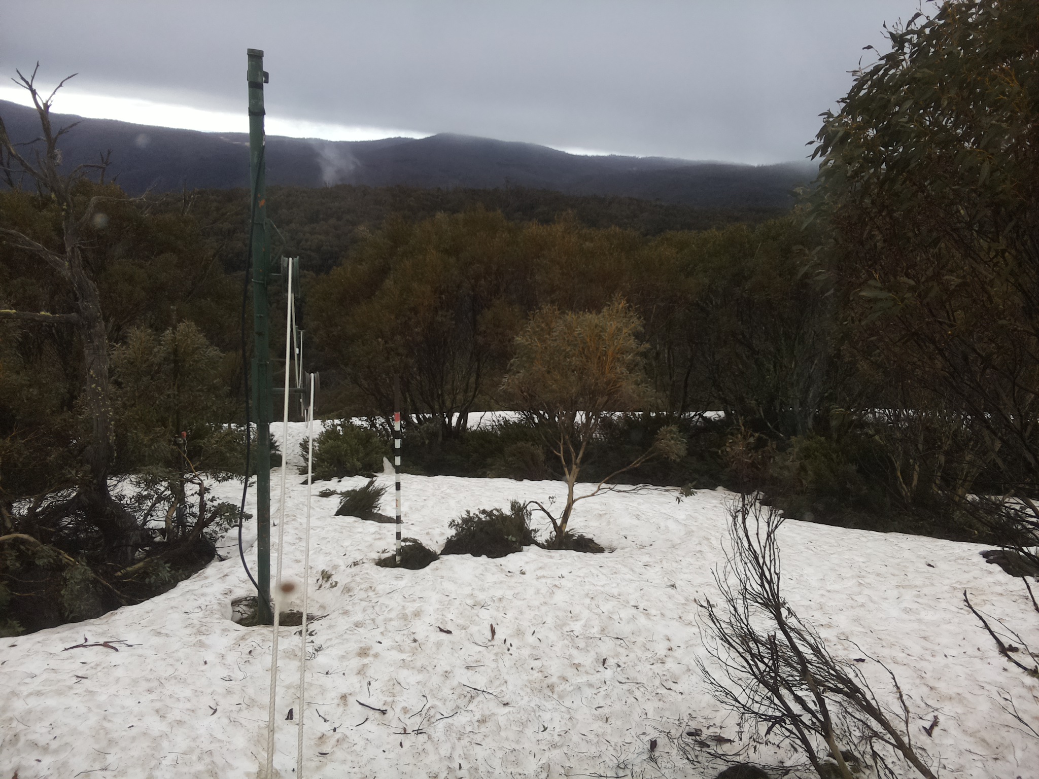 Bogong Web Cam 9:00am Thursday 9th of October 2025