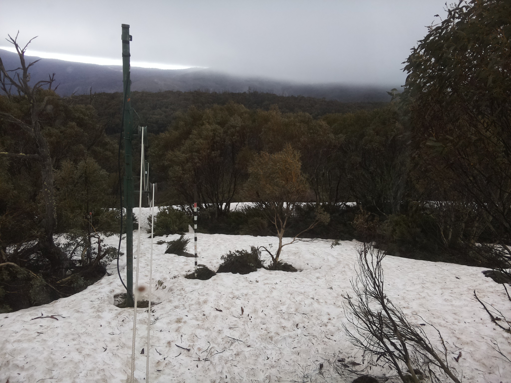 Bogong Web Cam 9:10am Thursday 9th of October 2025