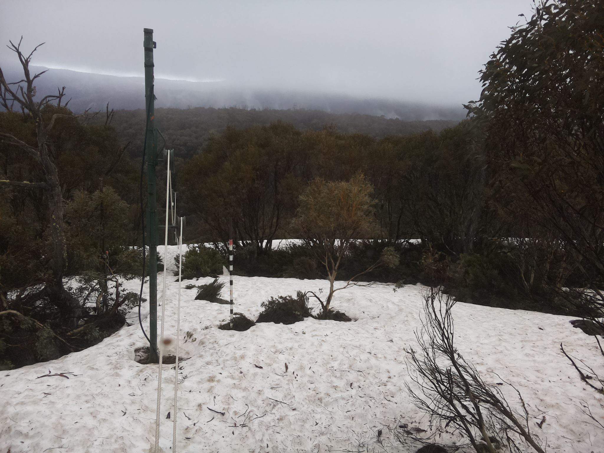 Bogong Web Cam 9:20am Thursday 9th of October 2025