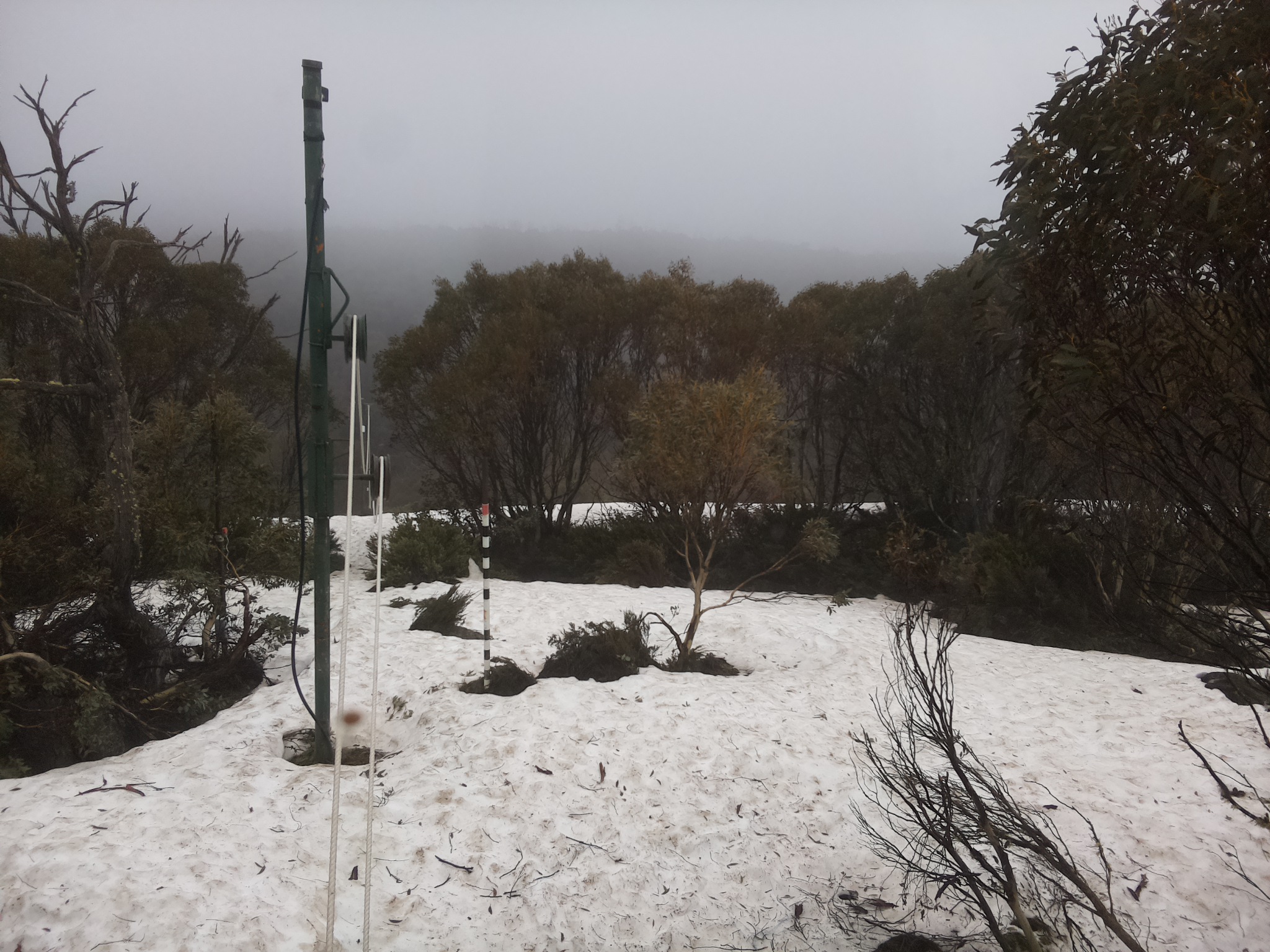 Bogong Web Cam 9:30am Thursday 9th of October 2025