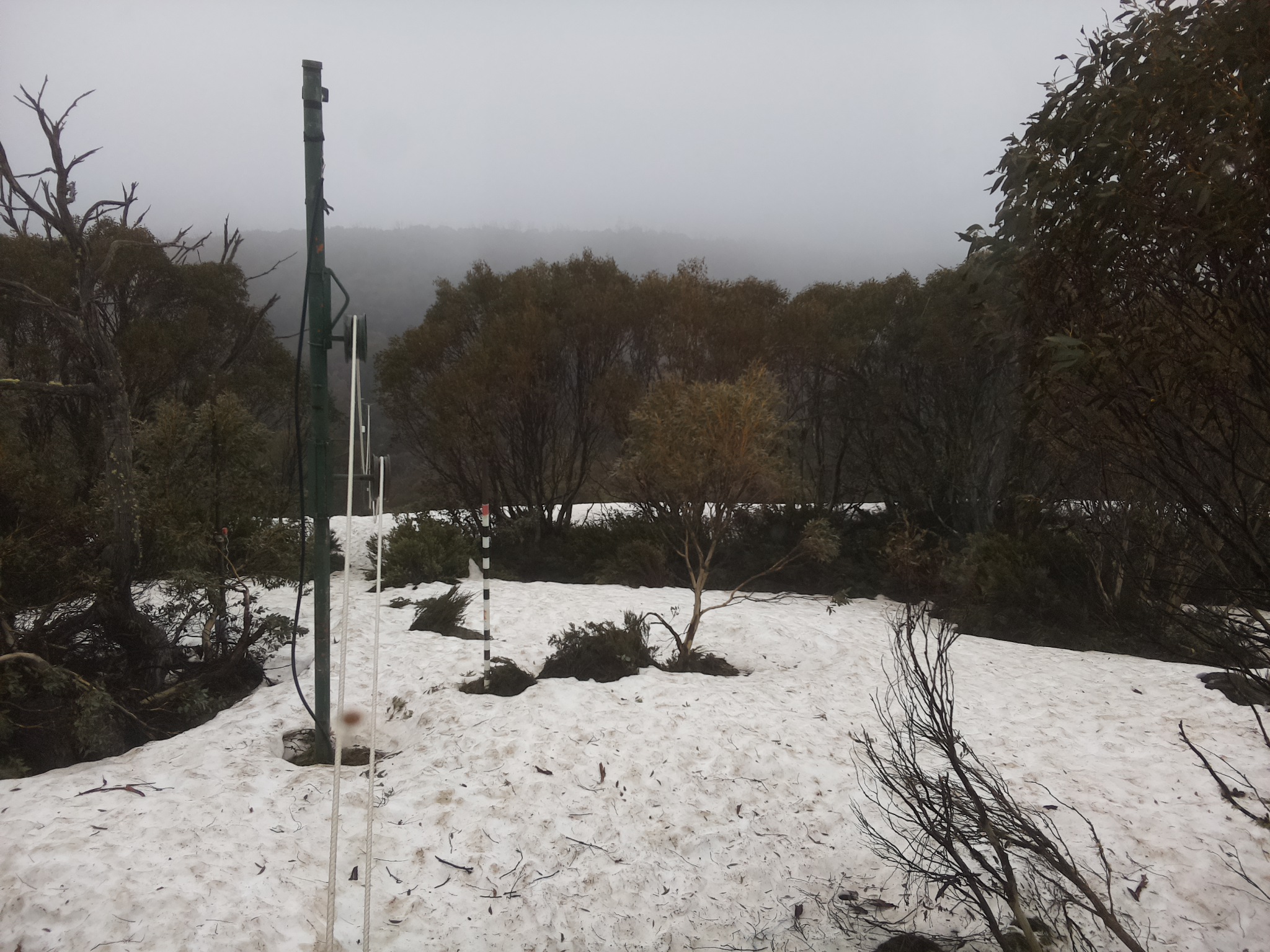 Bogong Web Cam 9:40am Thursday 9th of October 2025
