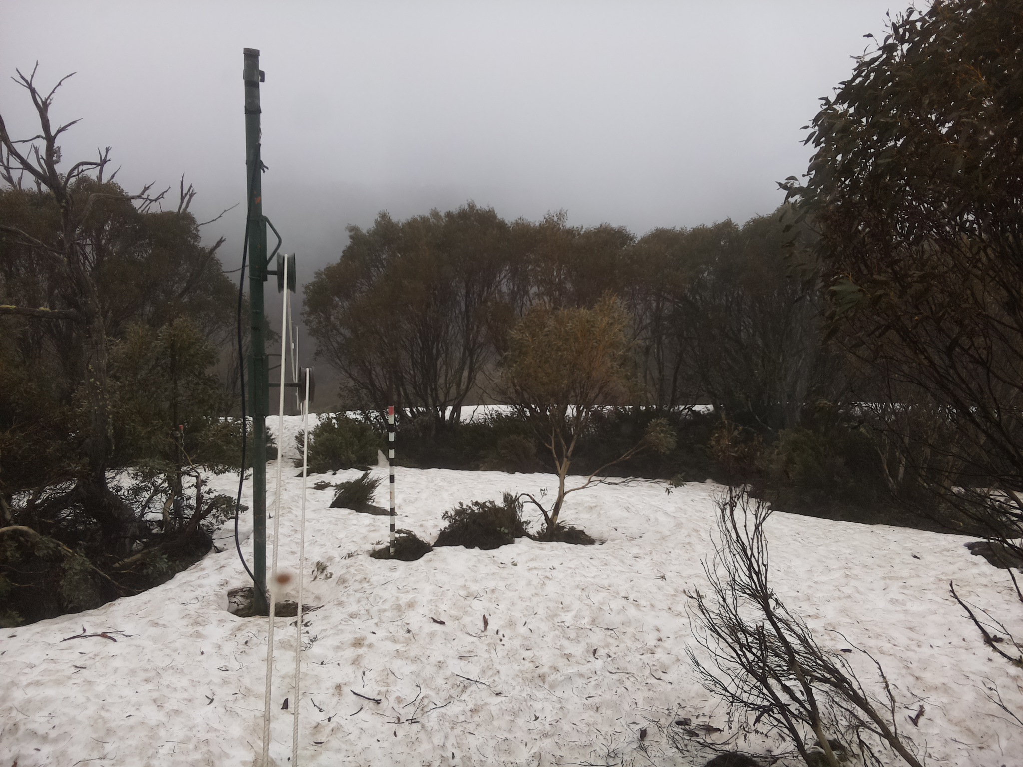 Bogong Web Cam 9:50am Thursday 9th of October 2025