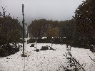 Thumbnail 9:50am Thursday 9th of October 2025