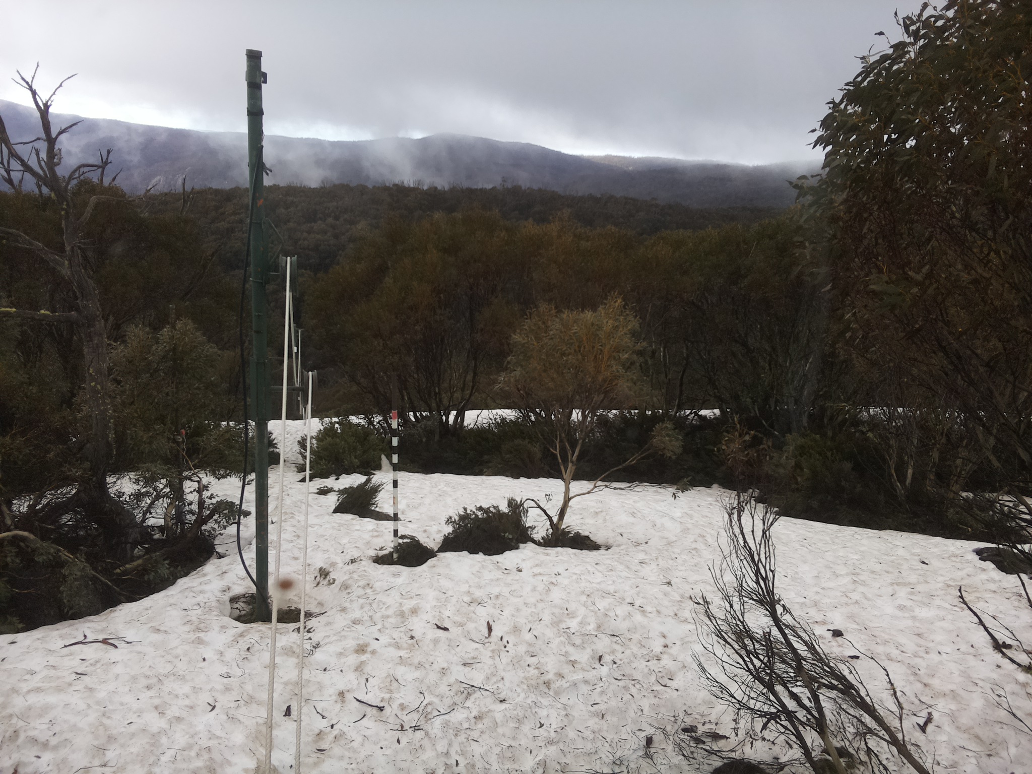 Bogong Web Cam 10:00am Thursday 9th of October 2025