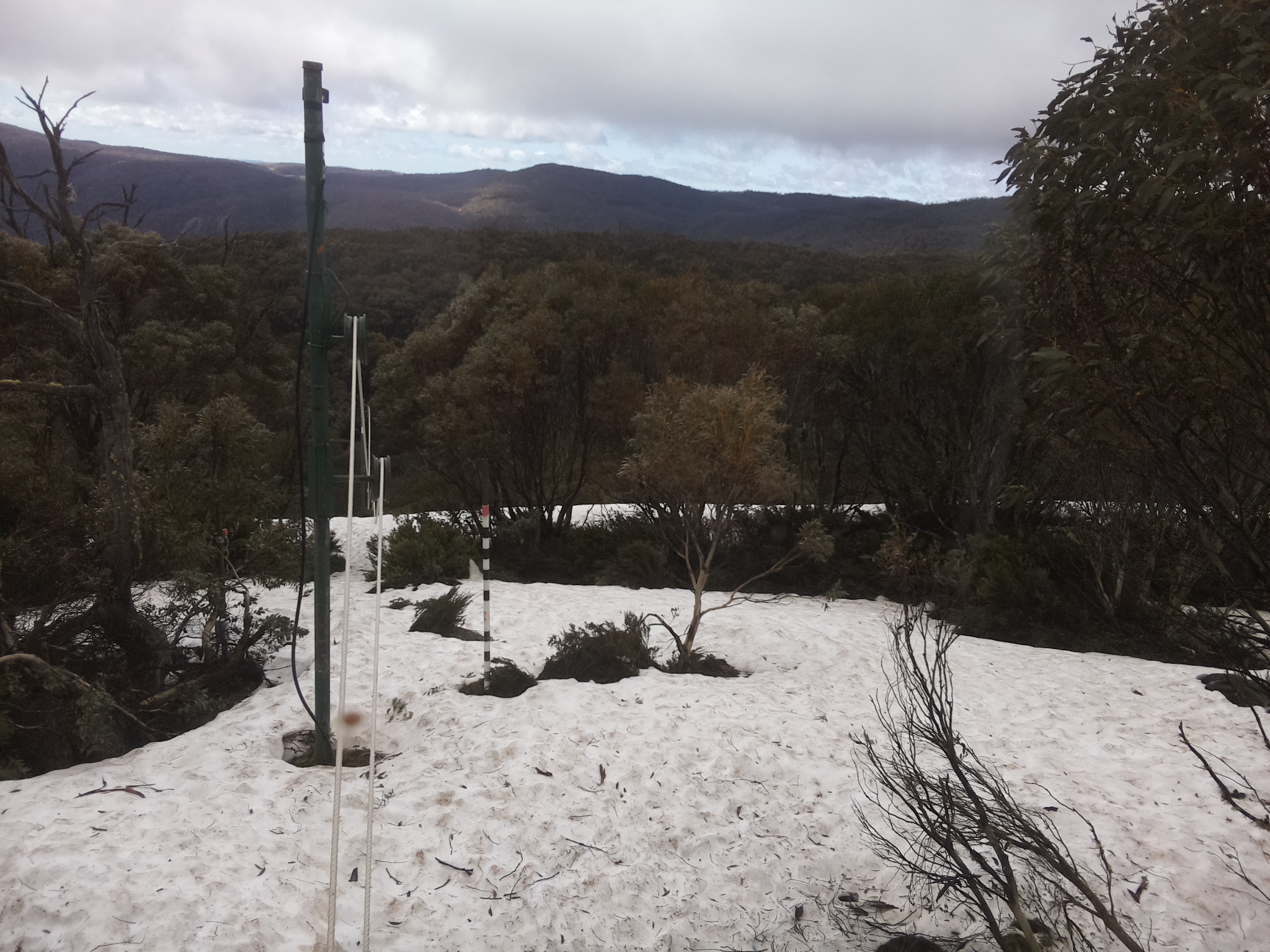Bogong Web Cam 10:10am Thursday 9th of October 2025
