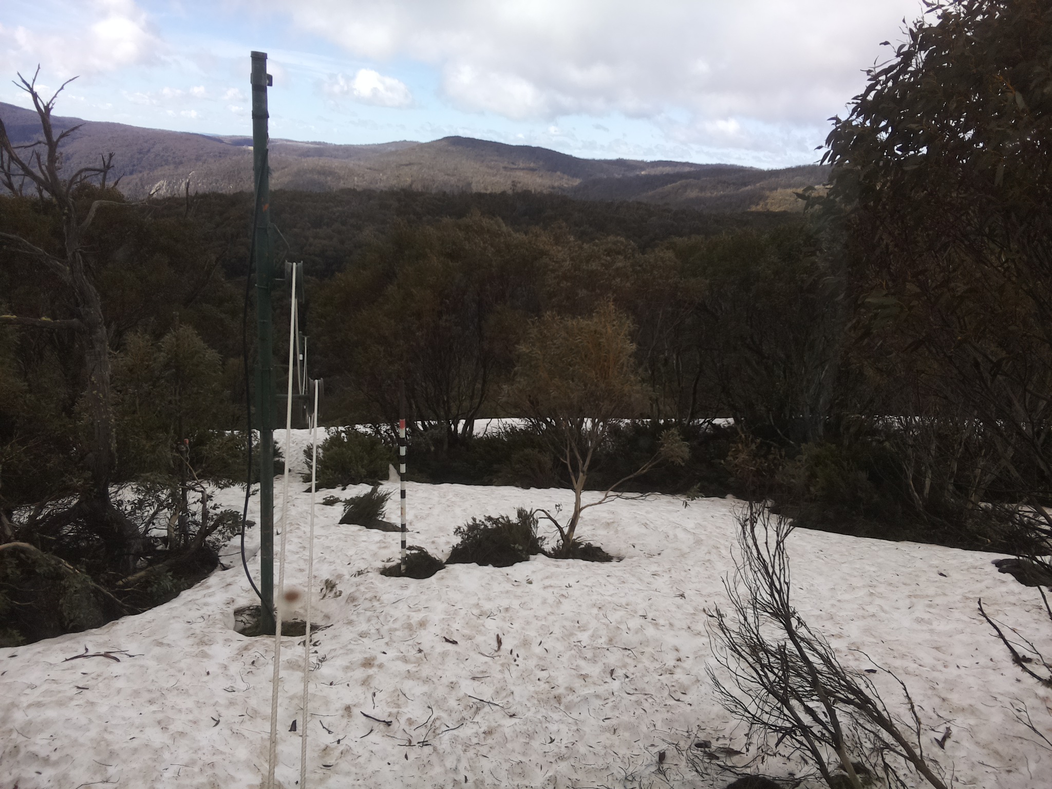 Bogong Web Cam 10:20am Thursday 9th of October 2025