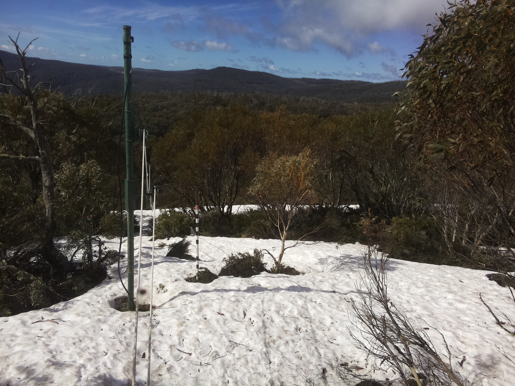 Bogong Web Cam 10:30am Thursday 9th of October 2025