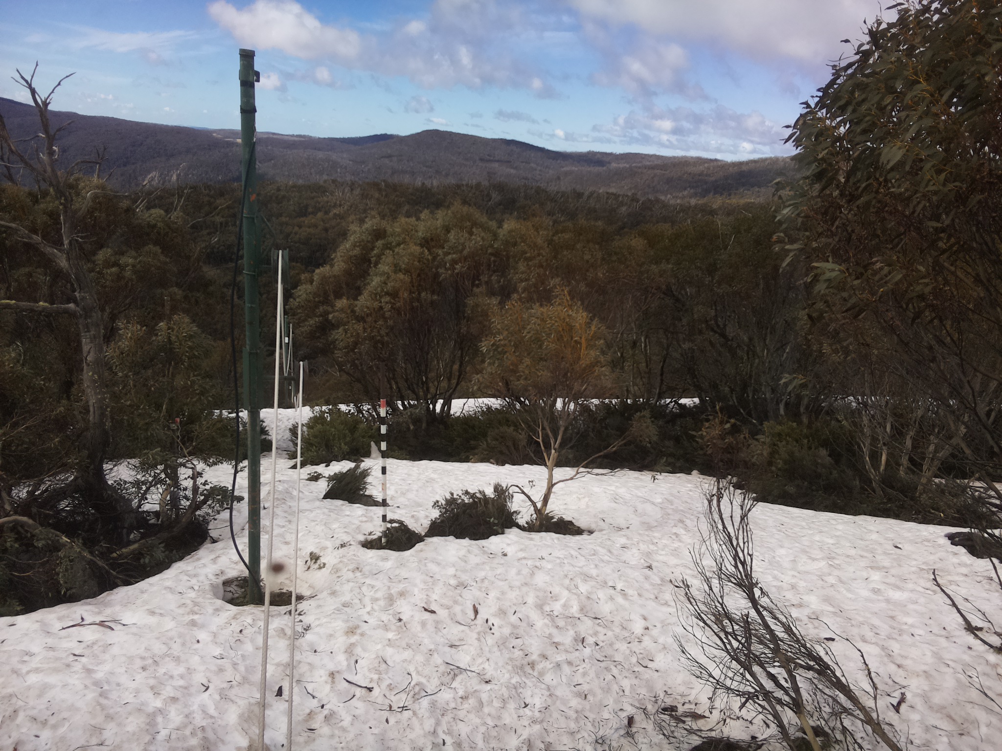 Bogong Web Cam 10:40am Thursday 9th of October 2025