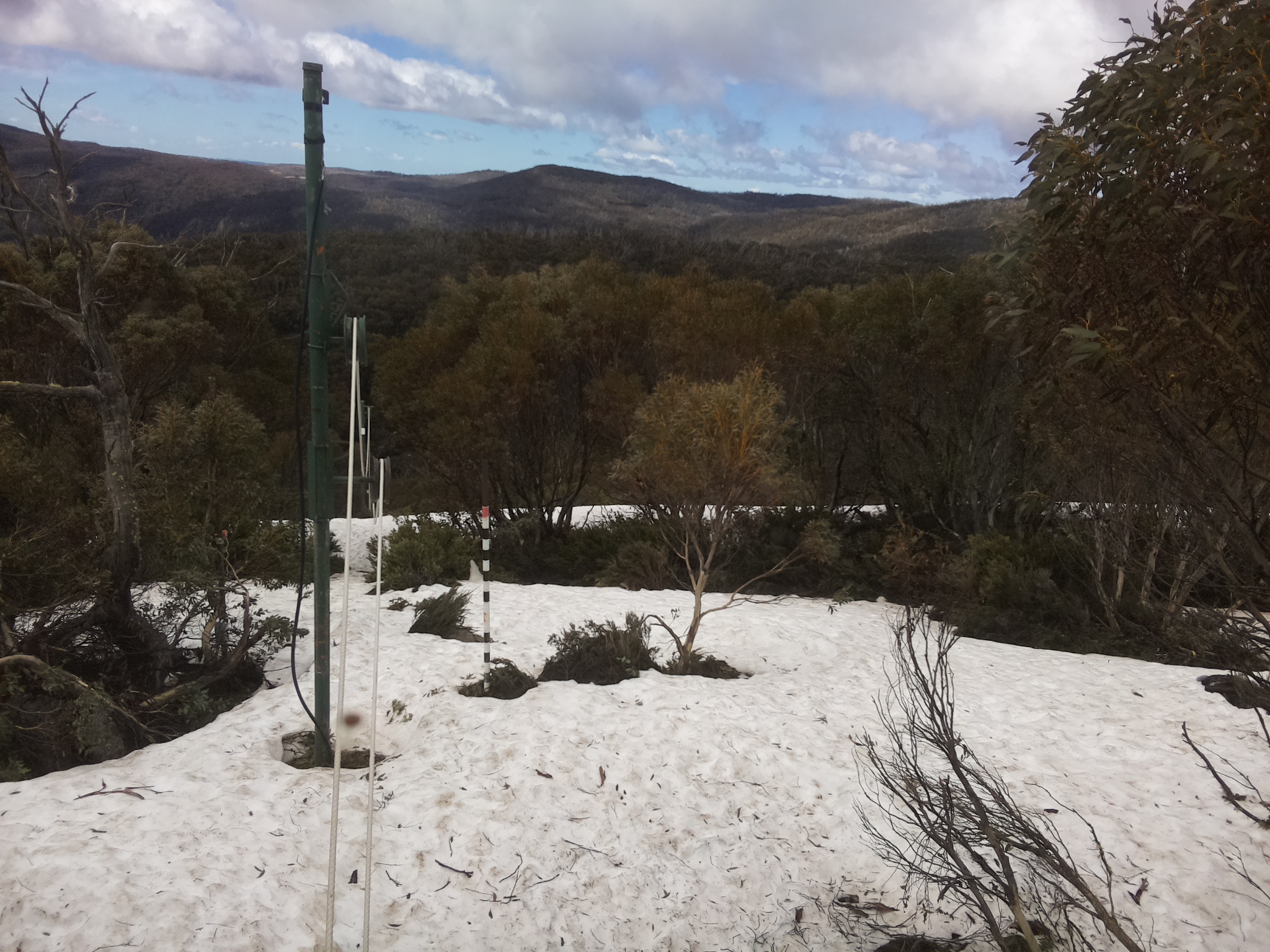 Bogong Web Cam 10:50am Thursday 9th of October 2025