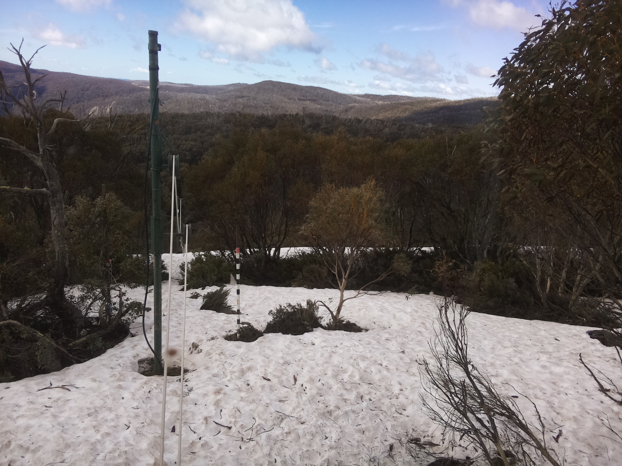 Bogong Web Cam 11:00am Thursday 9th of October 2025