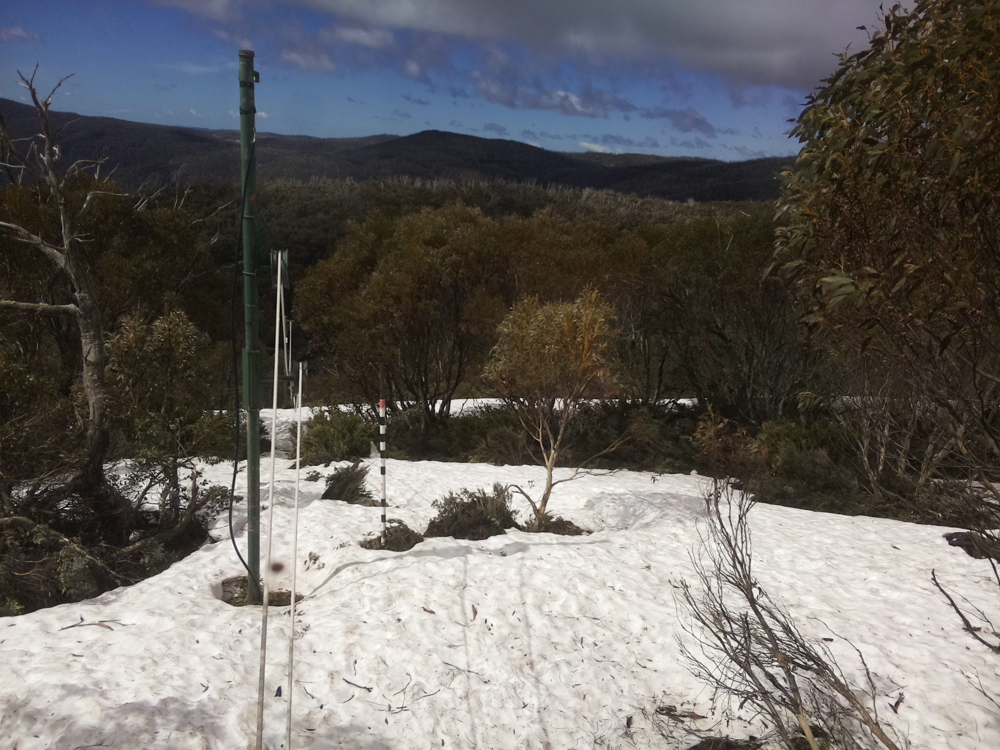 Bogong Web Cam 11:10am Thursday 9th of October 2025