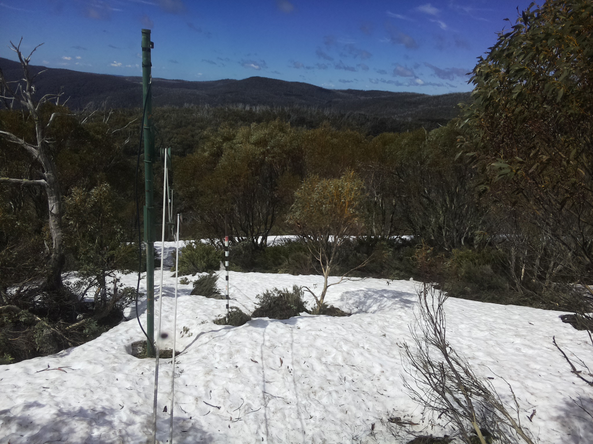 Bogong Web Cam 11:30am Thursday 9th of October 2025