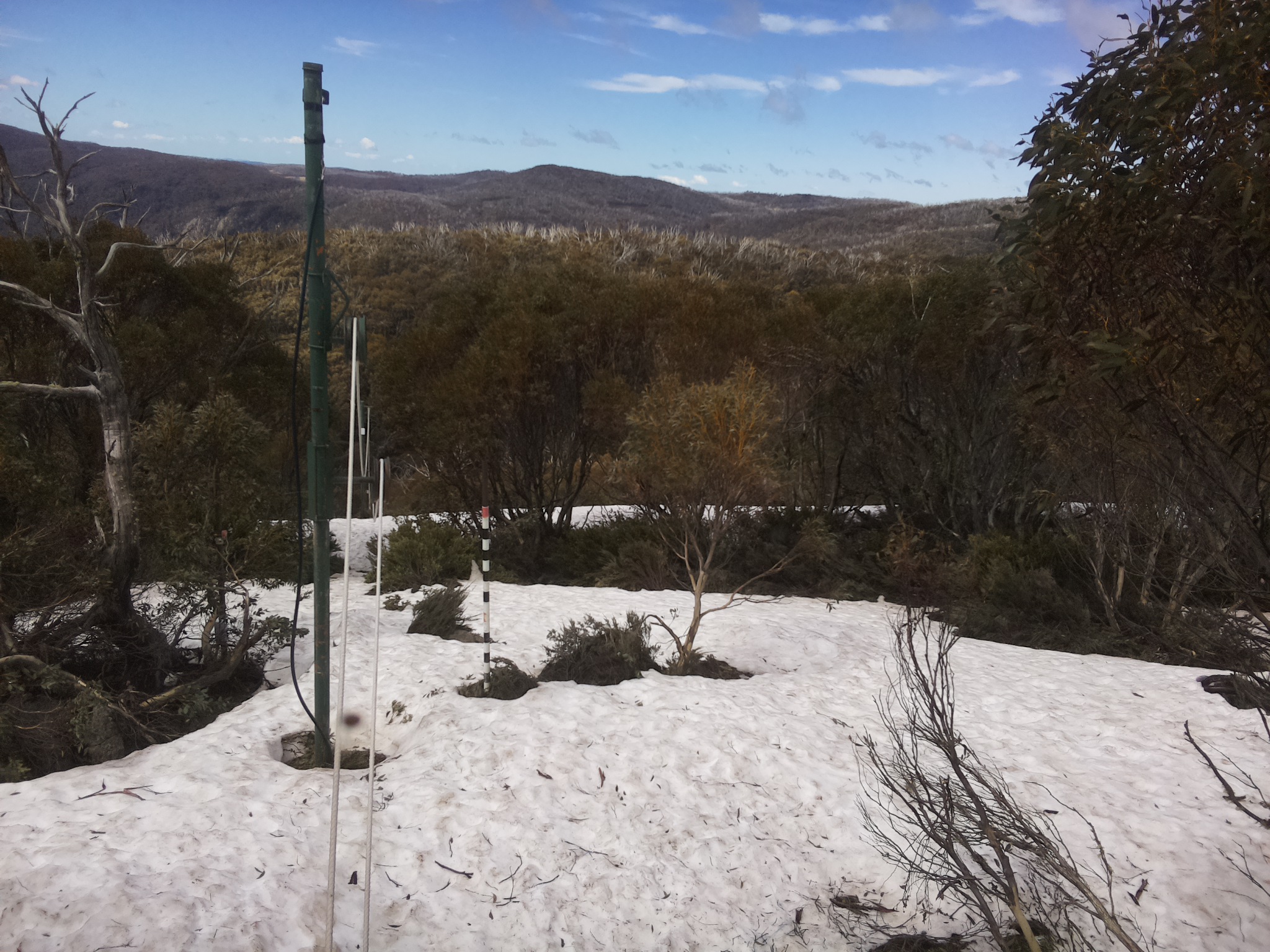 Bogong Web Cam 11:40am Thursday 9th of October 2025