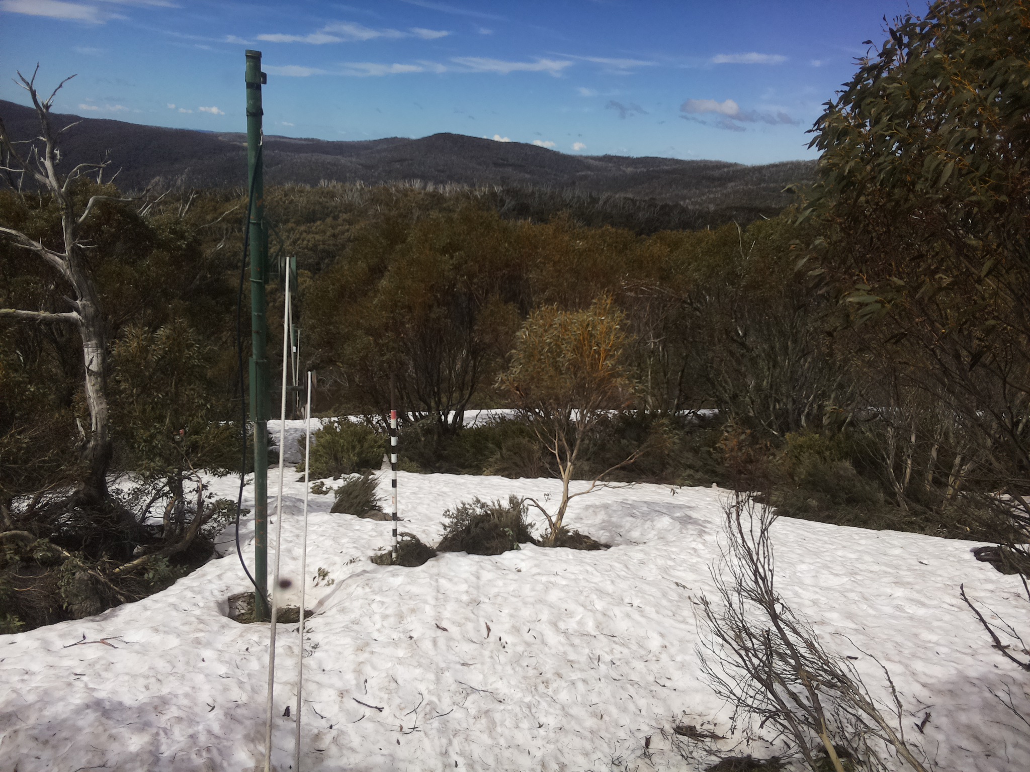 Bogong Web Cam 11:50am Thursday 9th of October 2025